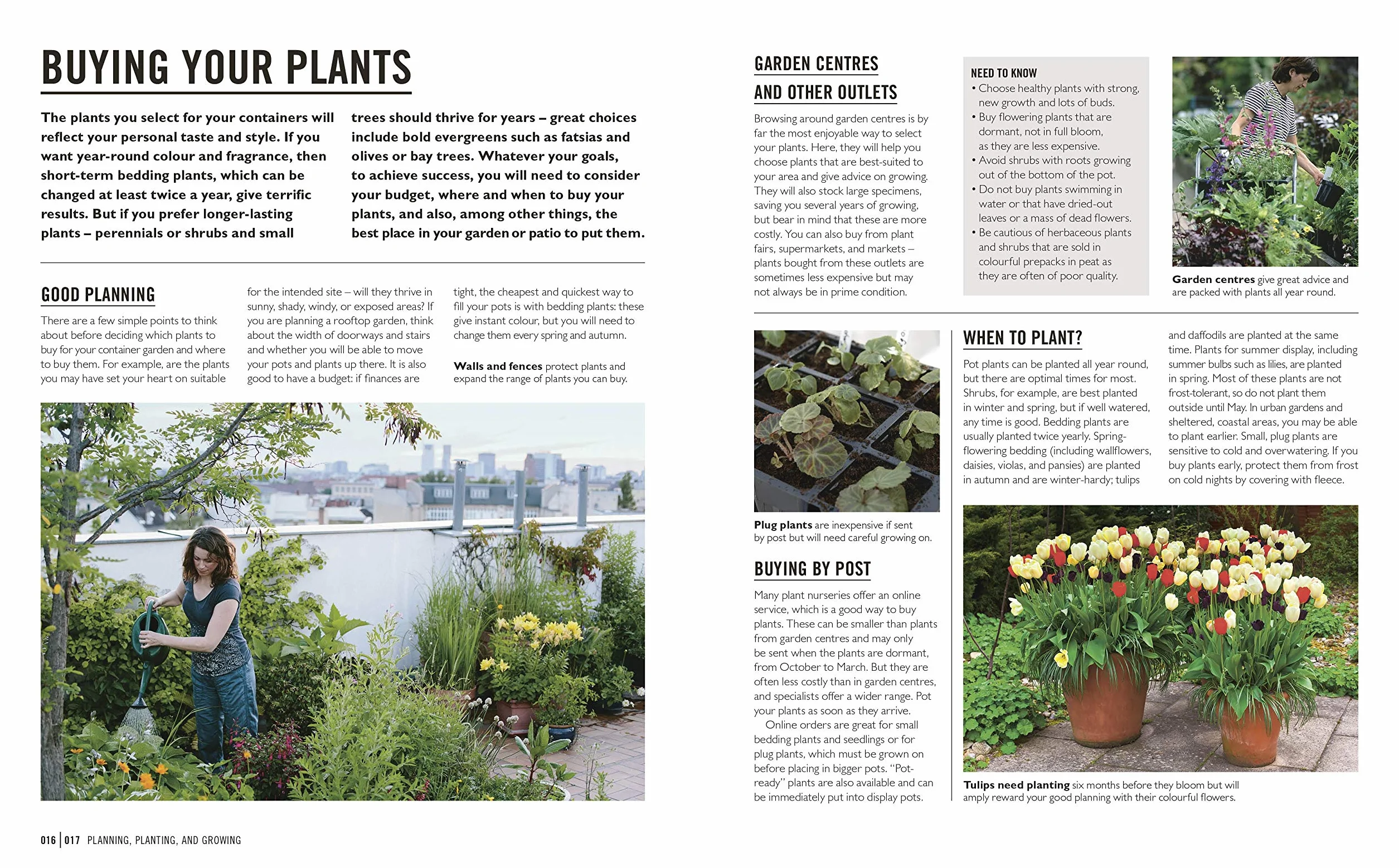 Grow Containers: Essential Know-how and Expert Advice for Gardening Success