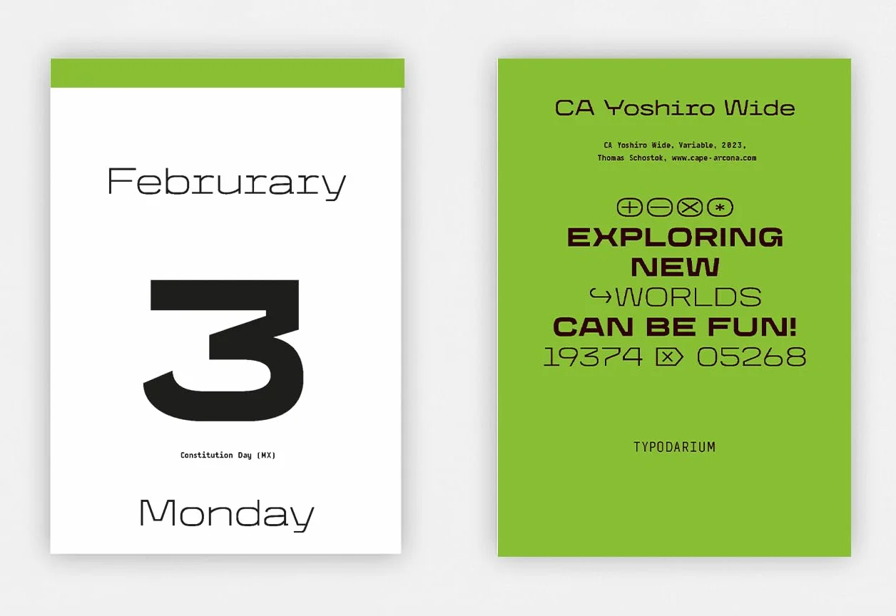 Typodarium 2025 /anglais/allemand: A 365 Day Type Calendar
