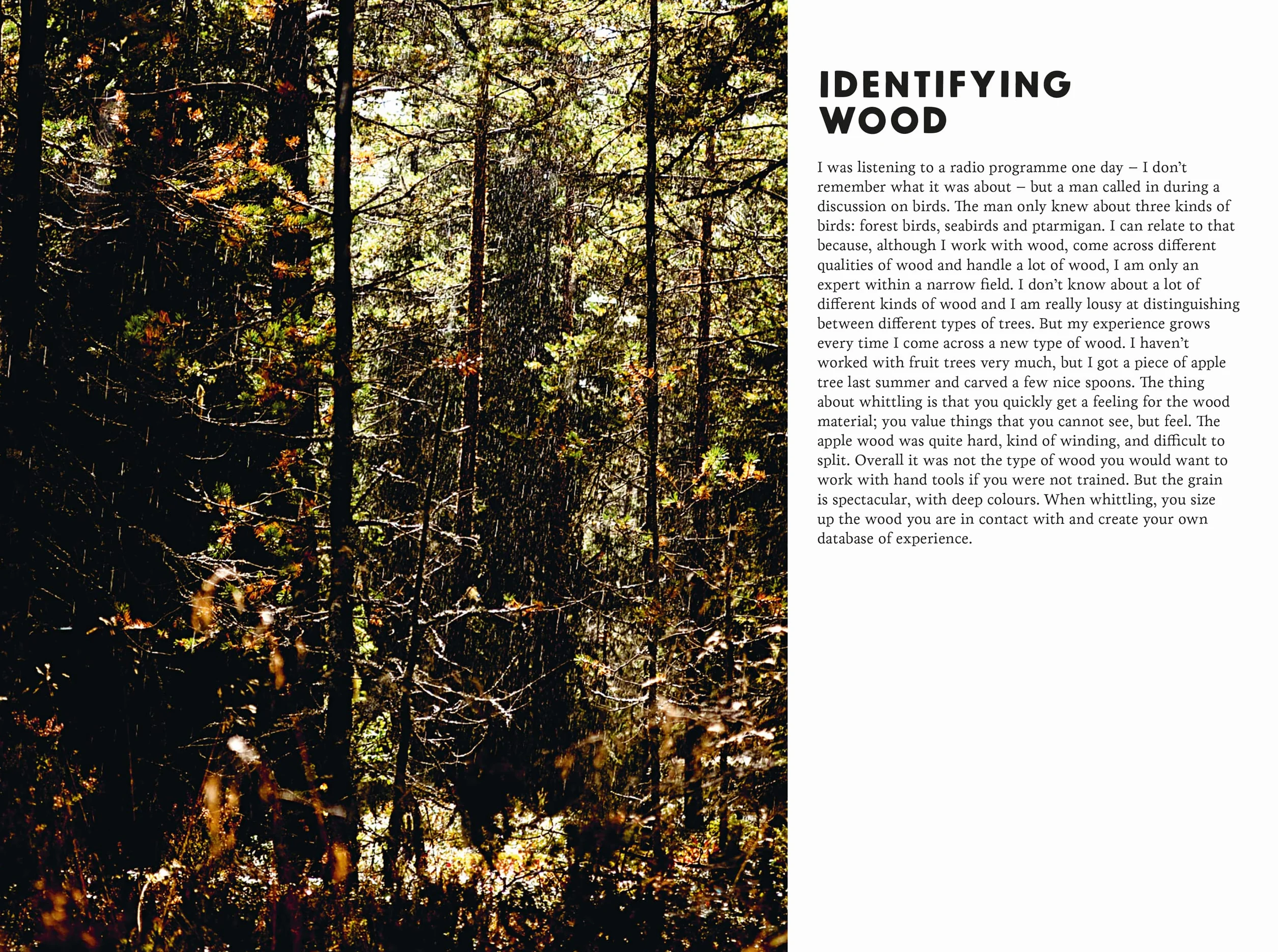 The Art of Whittling: A Woodcarver's Guide to Making Things by Hand
