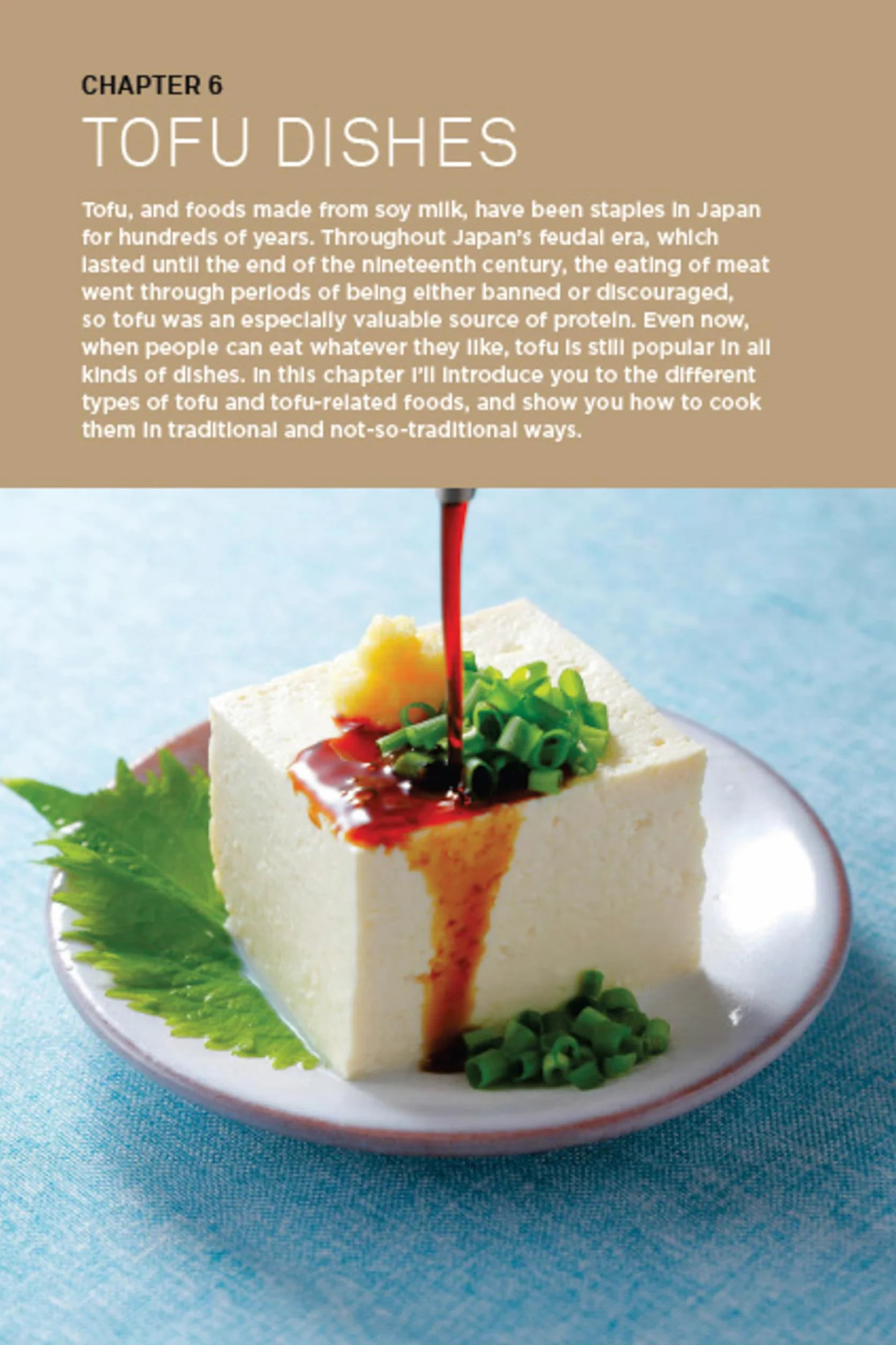 Real Japanese Cooking: Traditions, Tips, Techniques and Over 600 Authentic Recipes