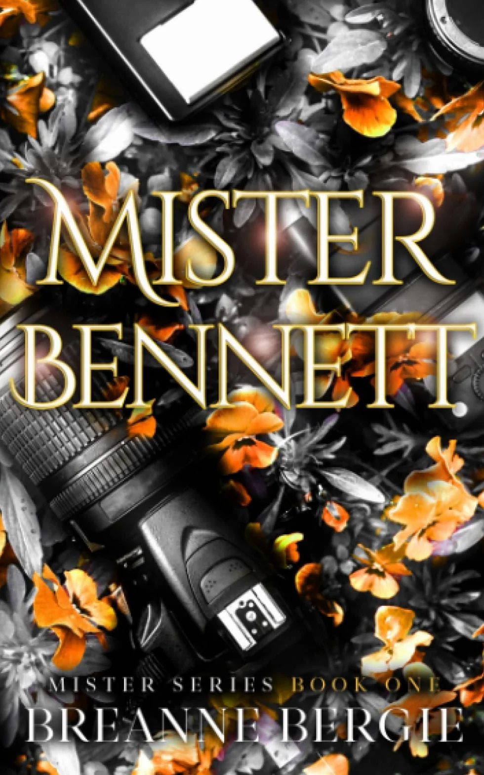 Mister Bennett: A Secret Baby Billionaire Romance (Mister Series Book 1)