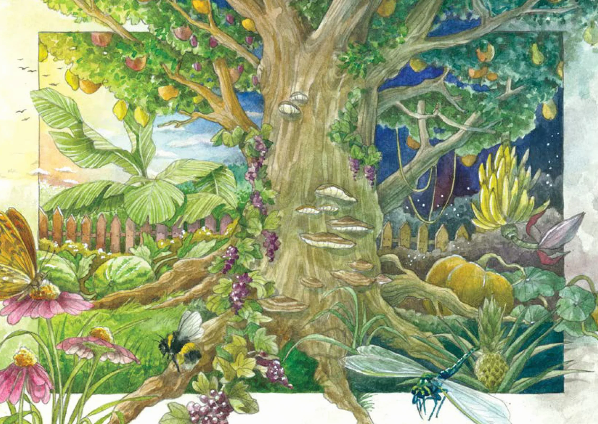 Tradycyjne rośliny barwiące (organiczne) - zestaw nasion z 4 starymi dzikimi roślinami dla kolorów: czerwonego, niebieskiego, żółtego i brązowego
