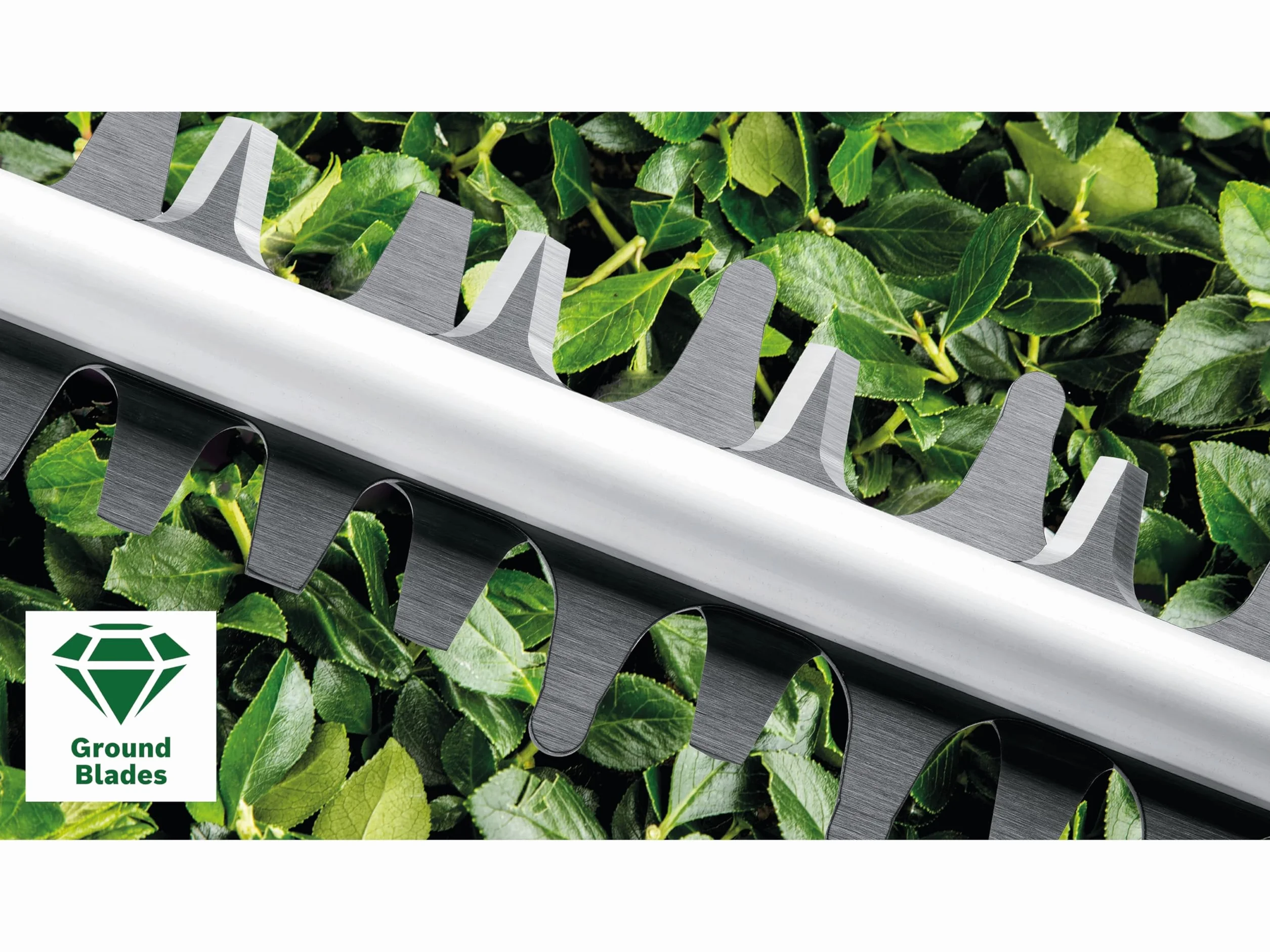 Bosch Easyhedgecut Nożyce do Żywopłotu, Zielony, 55 cm