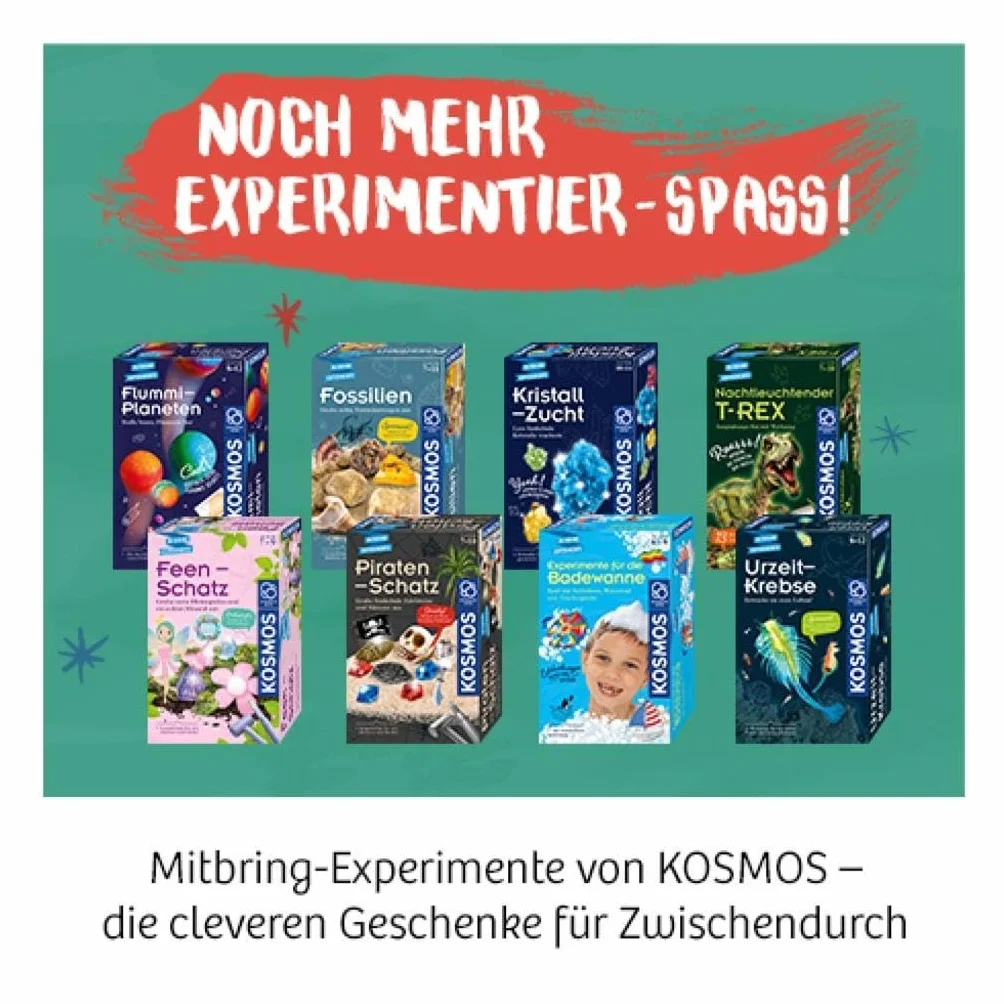Mimosen-Garten: Experimentierkasten