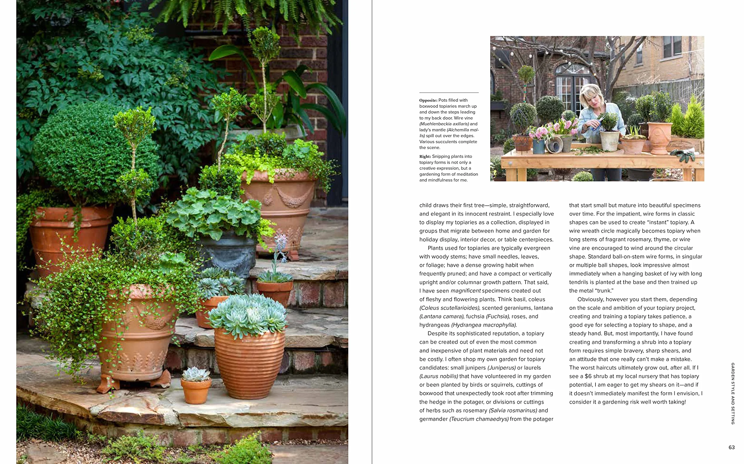 The Elegant and Edible Garden: Design a Dream Kitchen Garden to Fit Your Personality, Desires, and Lifestyle
