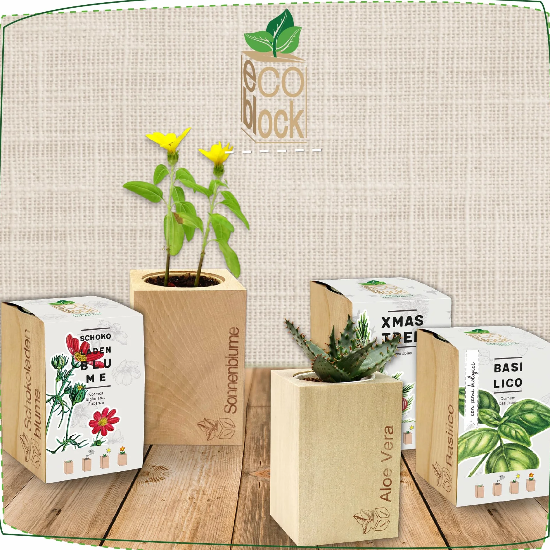 Feel Green ecoblock Rajski ptak kwiat, zrównoważony pomysł na prezent (100% przyjazny dla środowiska), Grow Your Own/zestaw do uprawy, rośliny w bloku drewnianym, wyprodukowano w Austrii