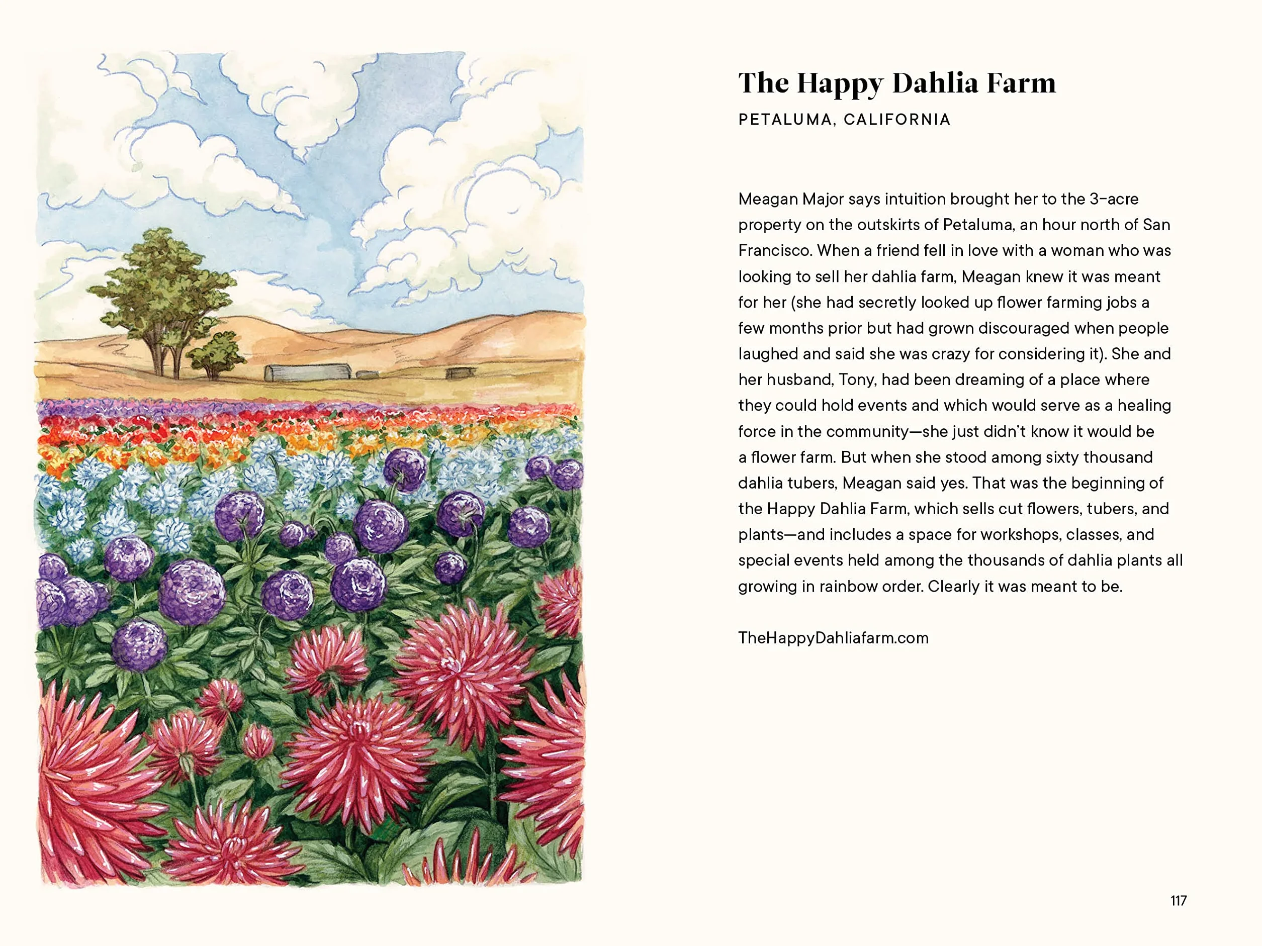 Dahlias: A Little Book of Flowers