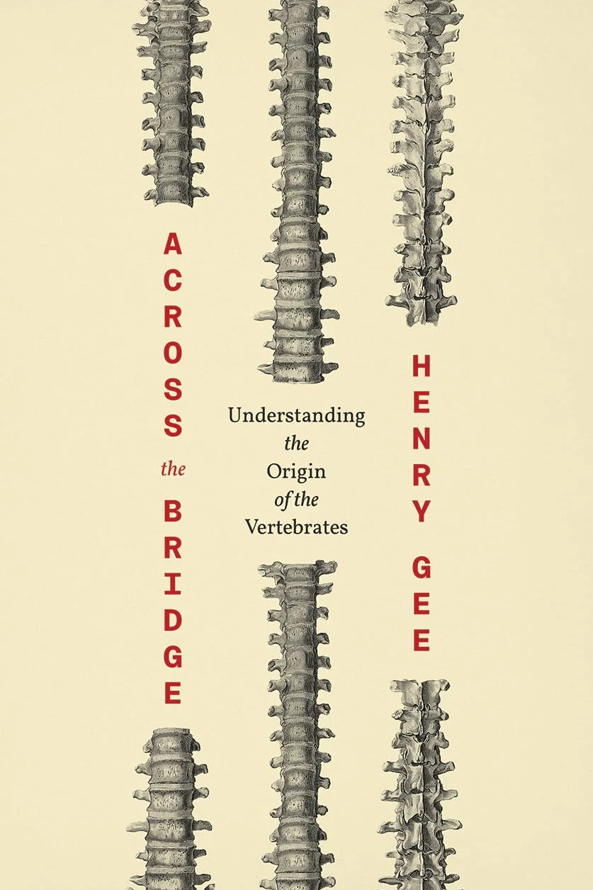 Across the Bridge: Understanding the Origin of the Vertebrates