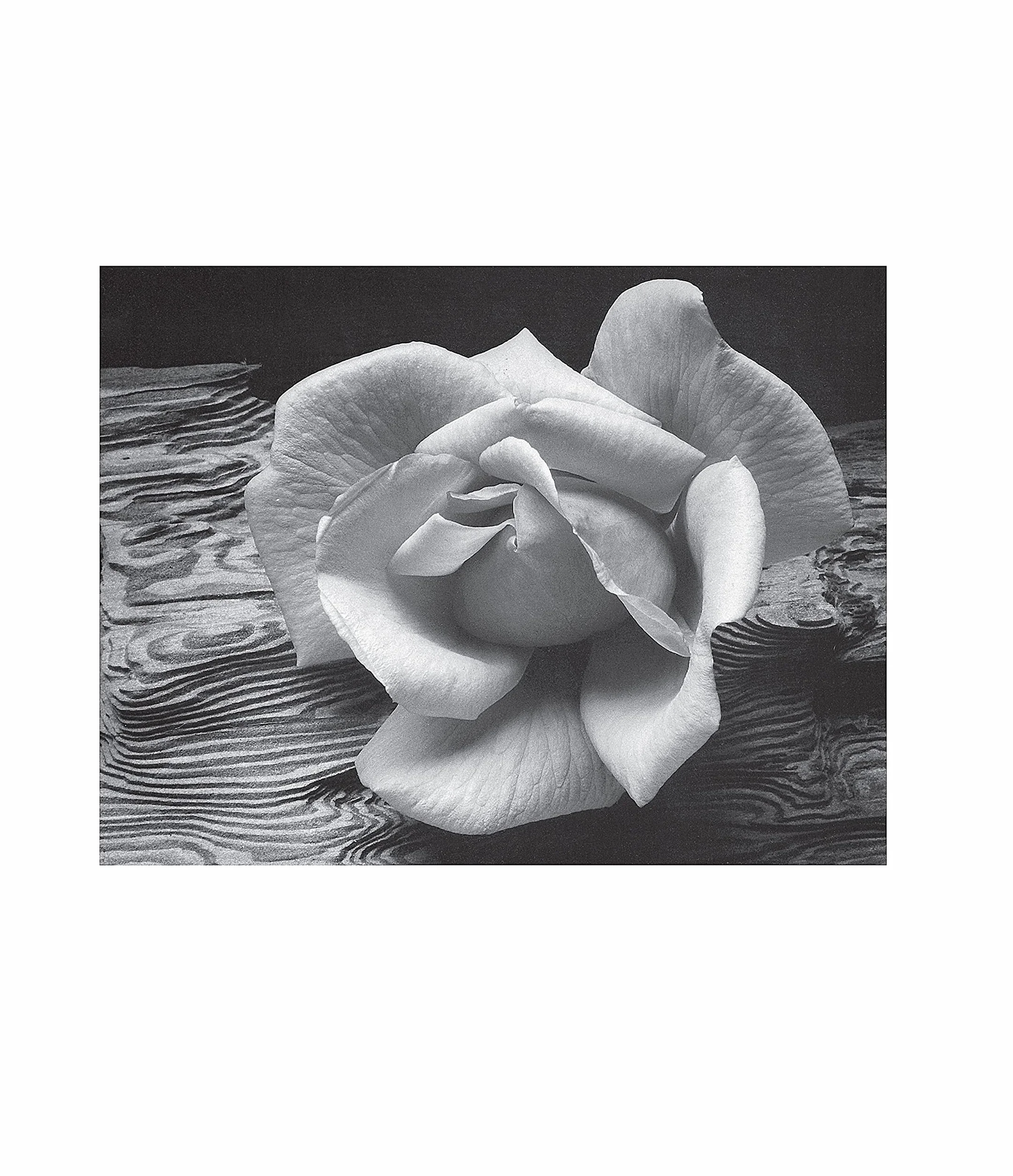 Ansel Adams Examples The Making of 40 Photographs (Paperback) /anglais
