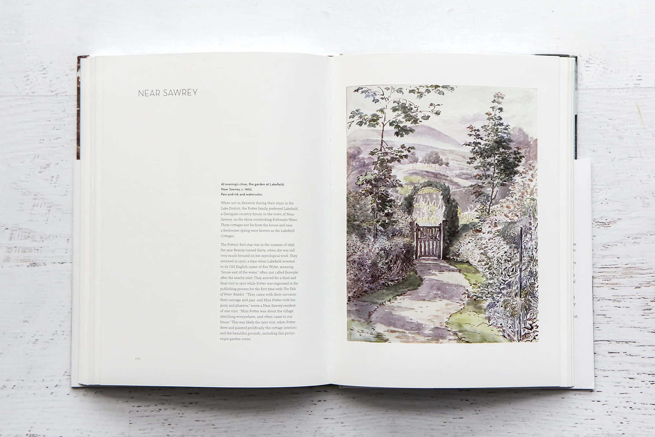 The Art of Beatrix Potter: Sketches, Paintings, and Illustrations