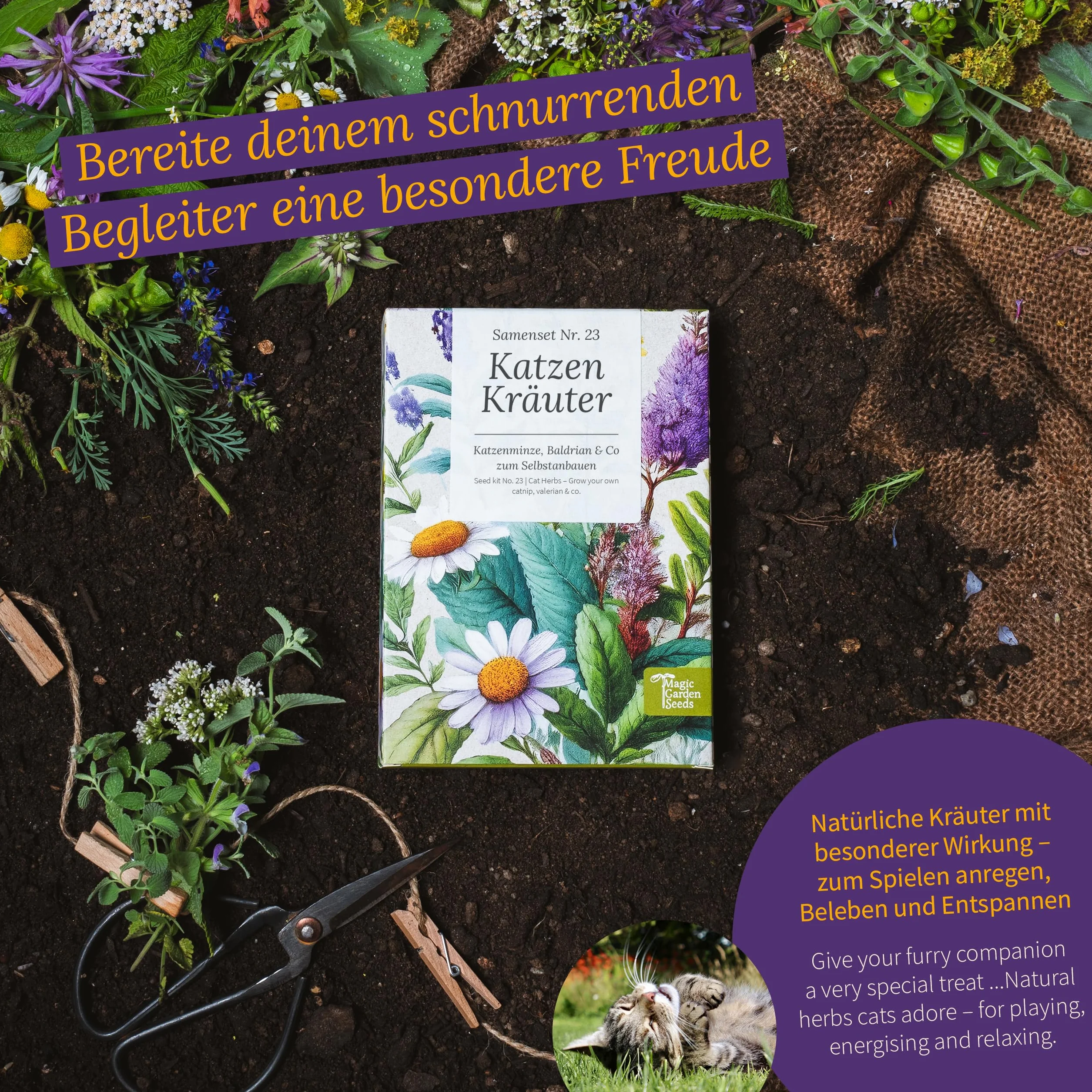 Magic Garden Seeds - Kocie zioła: kocimiętka, waleriana, szałwia muszkatołowa i trawa dla kotów – pudełko na nasiona z 4 ziołami do zabawy, gryzienia i relaksu