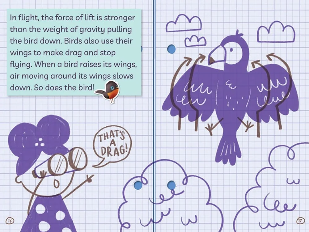 Ada Twist, Scientist: Why Files #1: Exploring Flight! (The Questioneers)