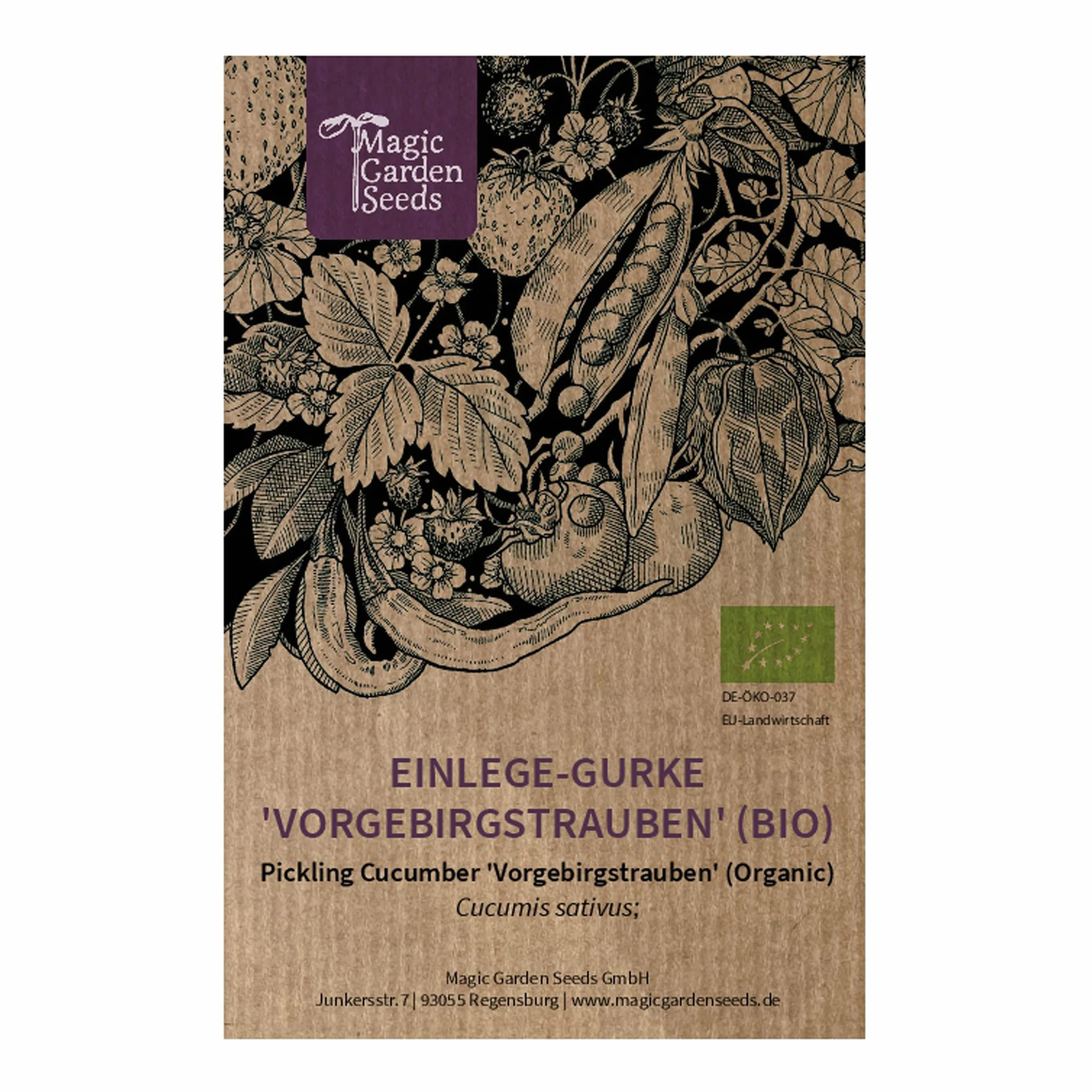 Ogórek do kiszenia 'Vorgebirgstrauben' (Cucumis sativus) Organic - ok. 10 nasion