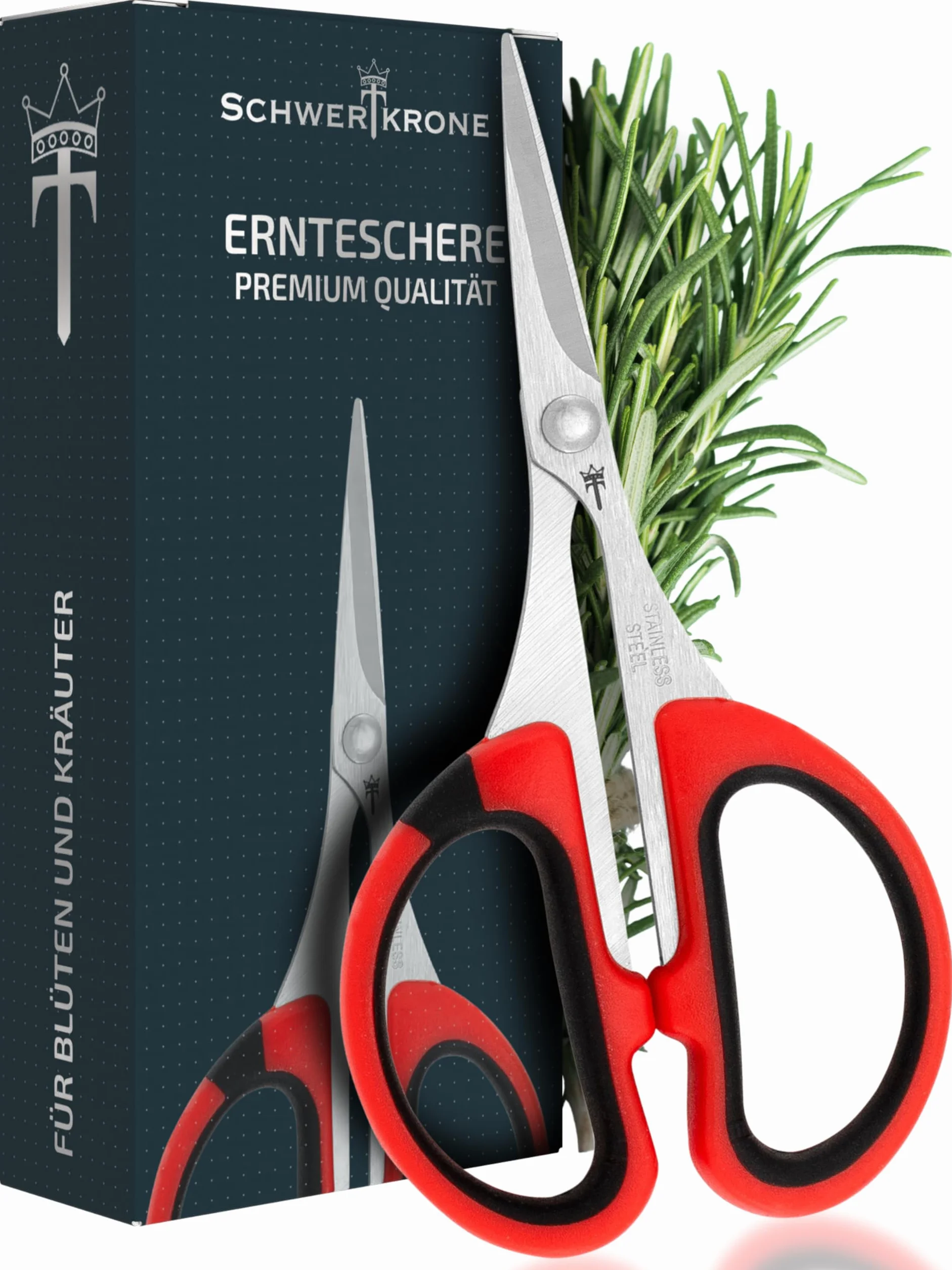 Schwertkrone Nożyce do przycinania roślin premium – idealne do ziół, bonsai i pielęgnacji roślin, stal nierdzewna – małe nożyce do bonsai – 11 cm nożyce do uprawy roślin