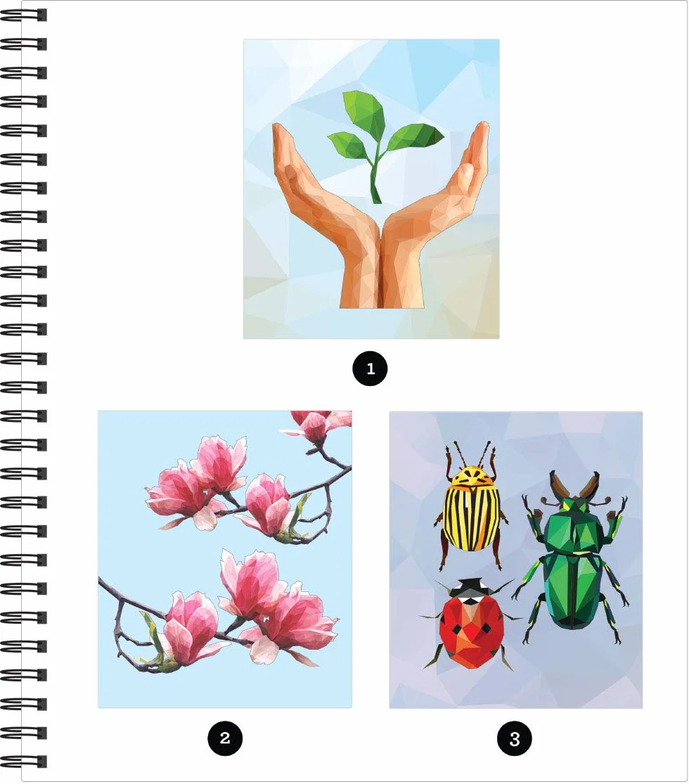 Brain Games - Sticker by Number: Country Garden (13 Images to Sticker)