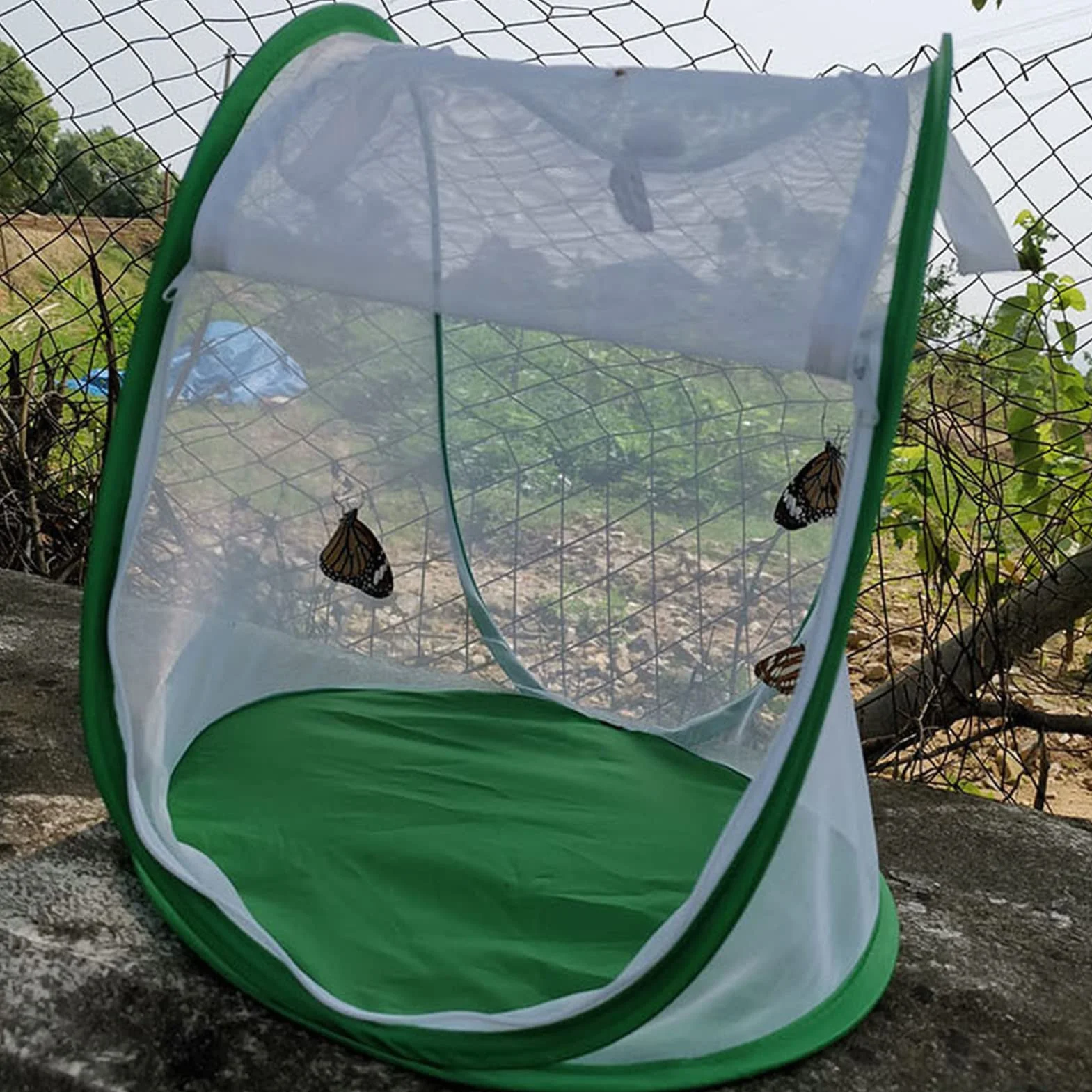 Siedlisko Motyla, Przezroczysta Klatka dla Owadów Monarch Butterfly Składana Obudowa Motylkowa z Przenośnym Uchwytem do Użytku w Pomieszczeniach na Zewnątrz, 13,2 X 13 X 14,4 Cala