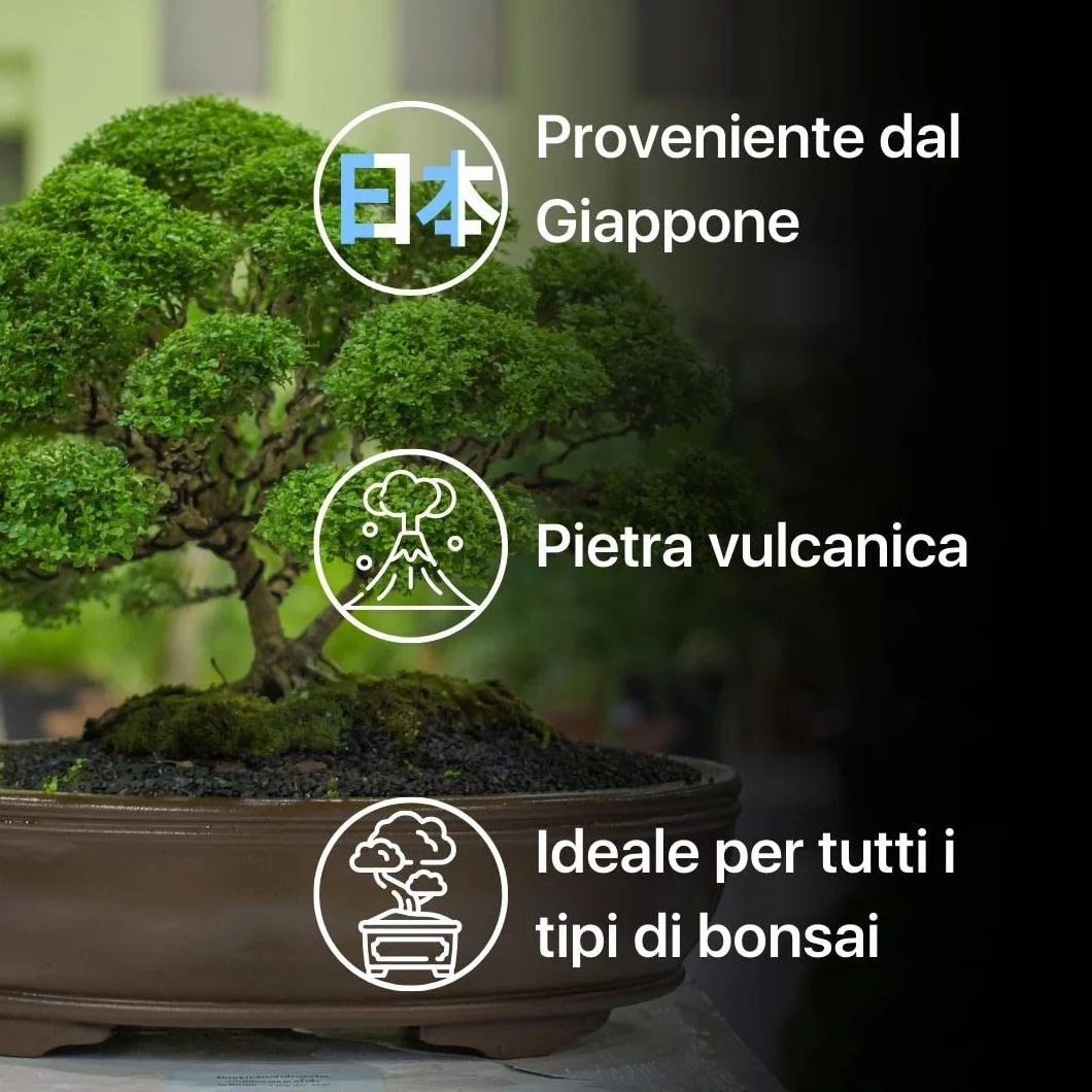 ZOMA Akadama dla profesjonalnego bonsai, ziarna 2-5 mm, japońska glina do bonsai i sukulentów twardych odmian, podłoże wulkaniczne, drenaż i przeciw stagnacji - 1,5 l