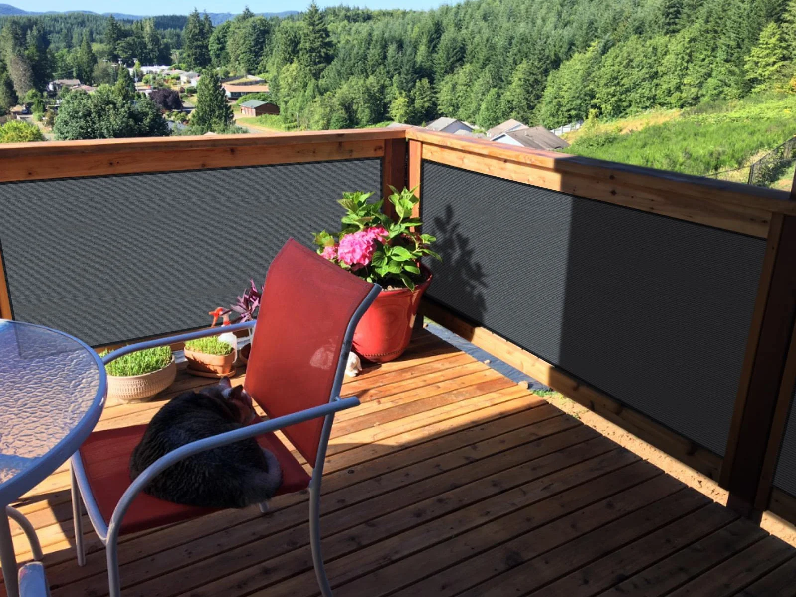 Sunnylaxx Osłona Balkonowa 90 x 600 cm, HDPE, Ochrona Przed Wiatrem i Promieniowaniem UV, z Oczkami i Opaskami Kablowymi,Antracyt