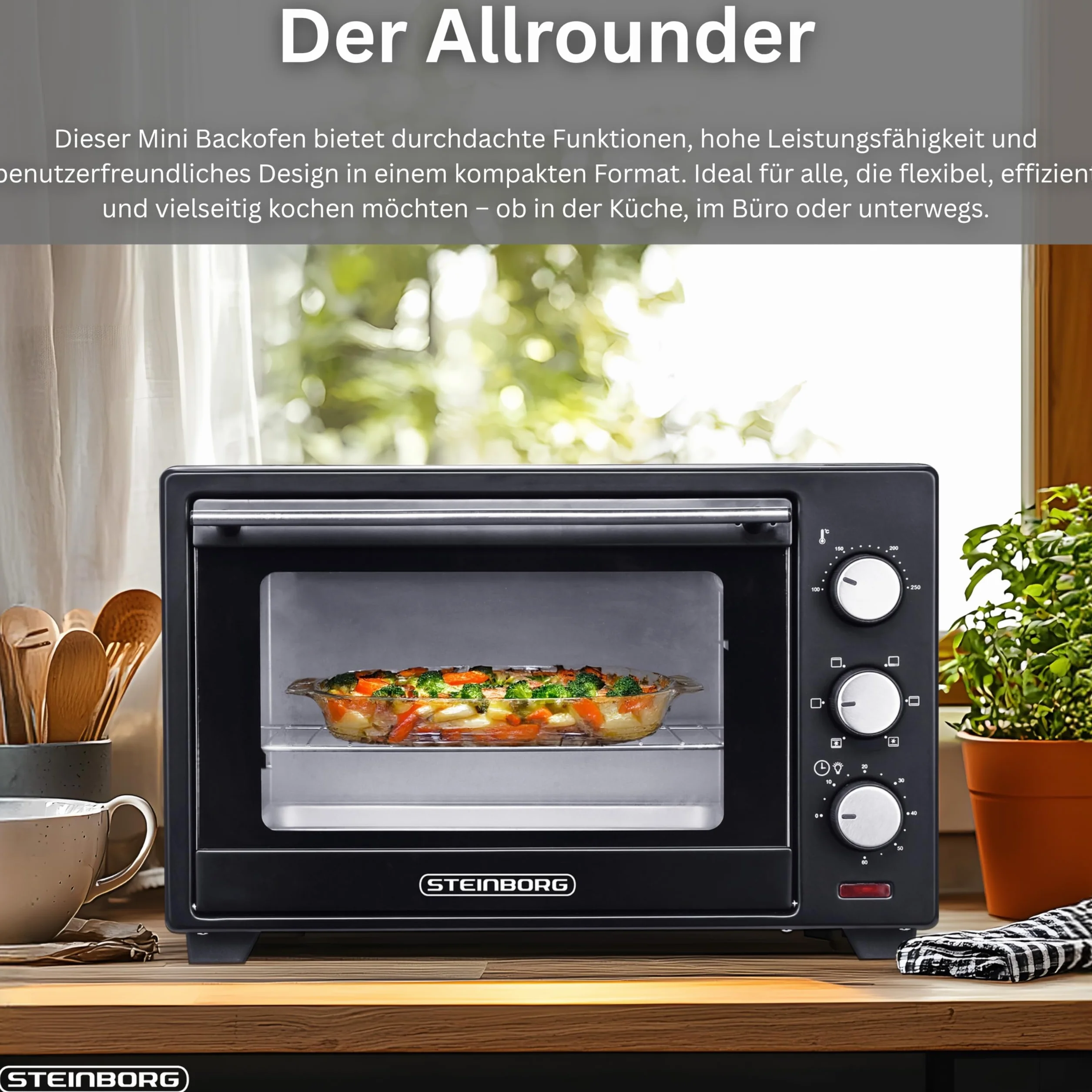 Steinborg mini piekarnik z termoobiegiem 1600 W 25 litrów piec do pizzy