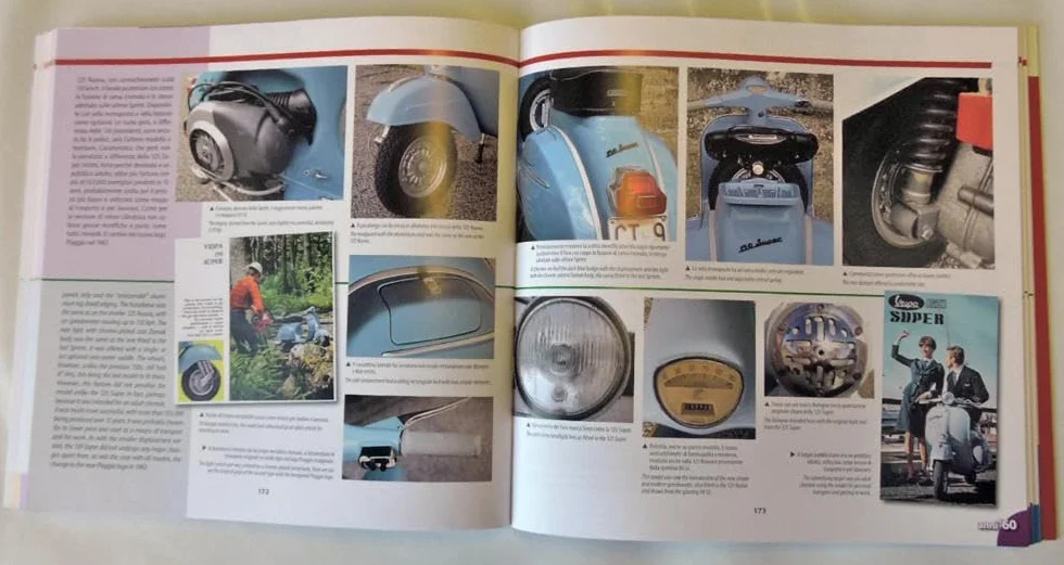 Vespa. Guida illustrata all'identificazione-Illustrated guide to the identification