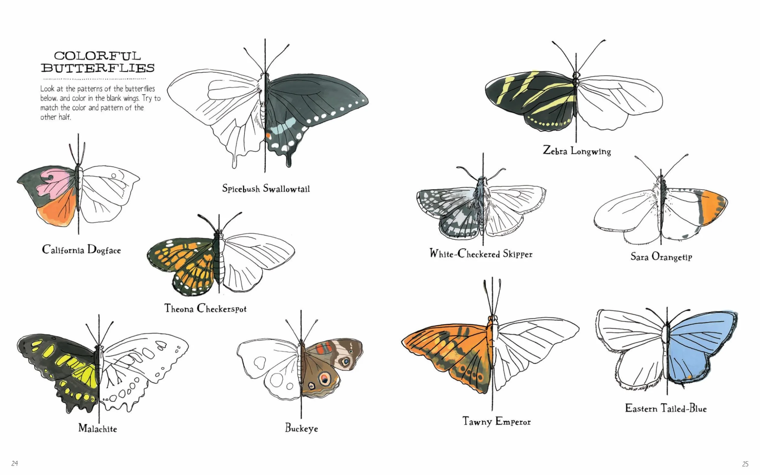 Julia Rothman's Nature Anatomy Activity Book: Match-Ups, Word Puzzles, Quizzes, Mazes, Projects, Secret Codes + Lots More
