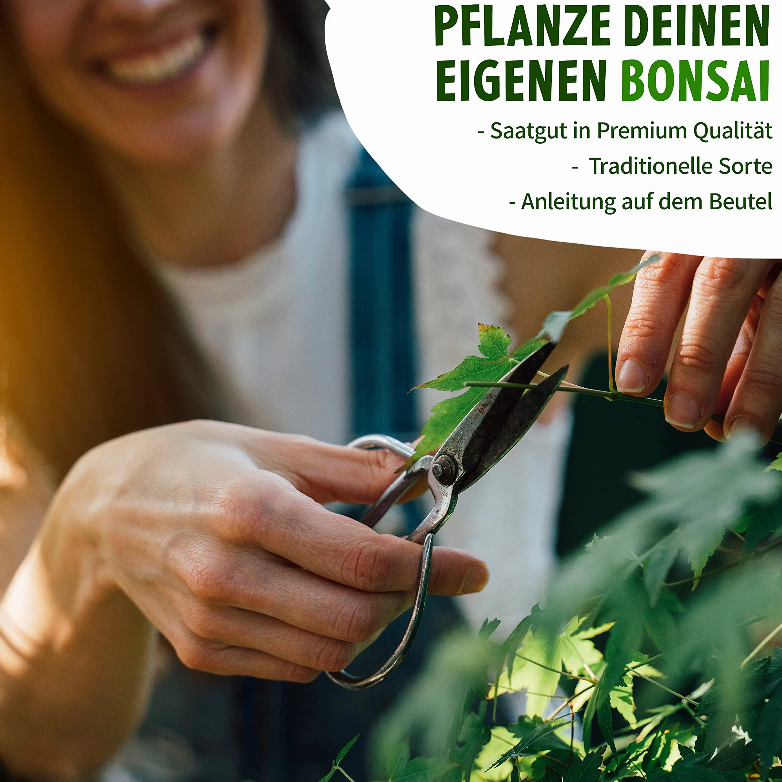 nasiona bonsai, grab bonsai, 10 nasion bonsai, wysoka wydajność kiełkowania Little Plants, piękne bonsai do własnej uprawy, zrównoważone opakowanie
