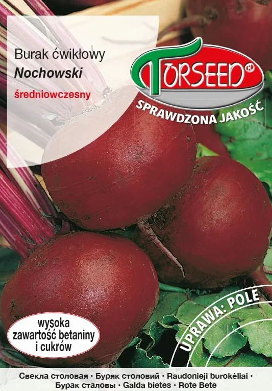 Nochowski nasiona buraków, ciemna wiśnia, wysoka zawartość betaniny, wydajność 55-60 ton, wysiew od kwietnia do lipca, idealne do celów kulinarnych (10 g)