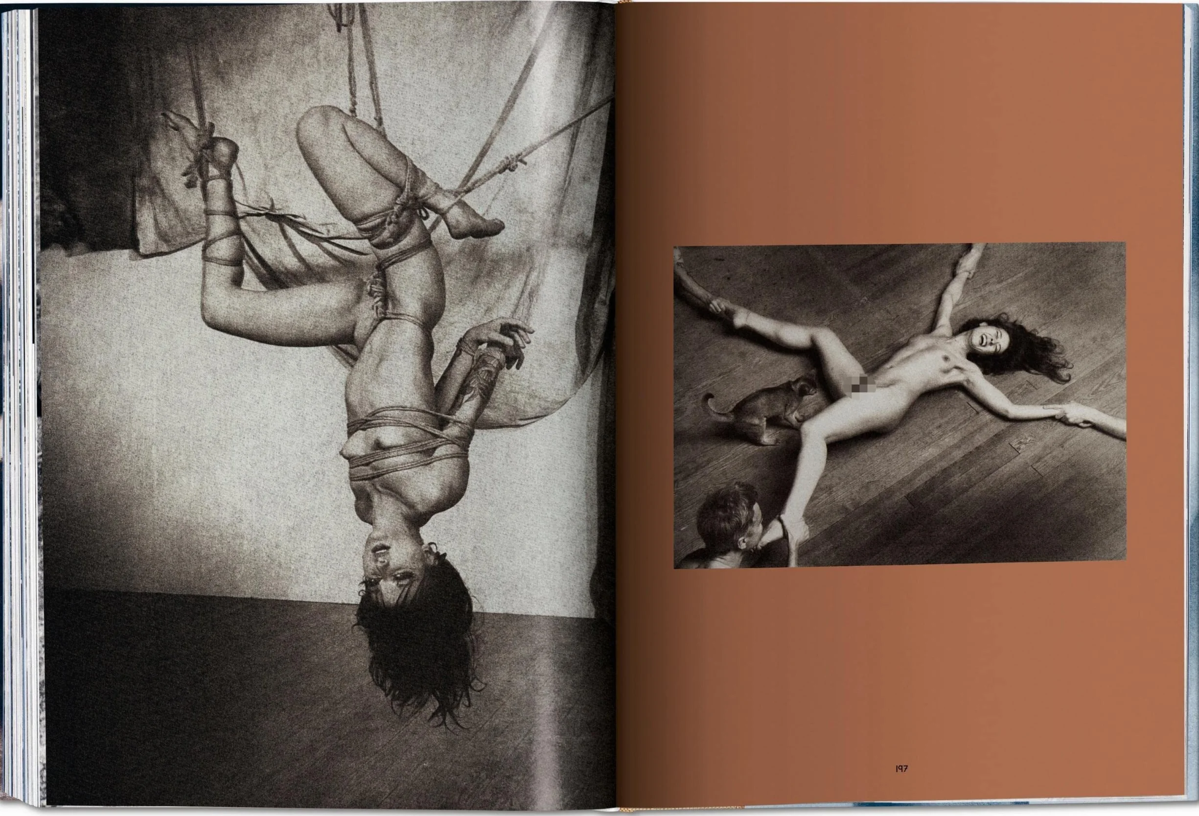 Laurent Benaim: Curious Encounters
