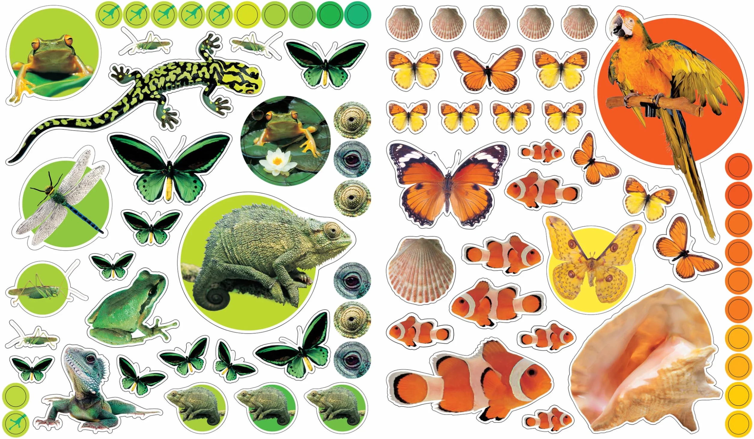 Workman Publishing Animals: 400 reusable stickers inspired by nature (Eye Like Stickers), multicolour, 1, 9780761169338