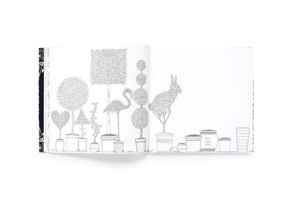 Secret Garden An Inky Treasure Hunt and Colouring Book /anglais: Secret Garden: 10th Anniversary Limited Special Edition