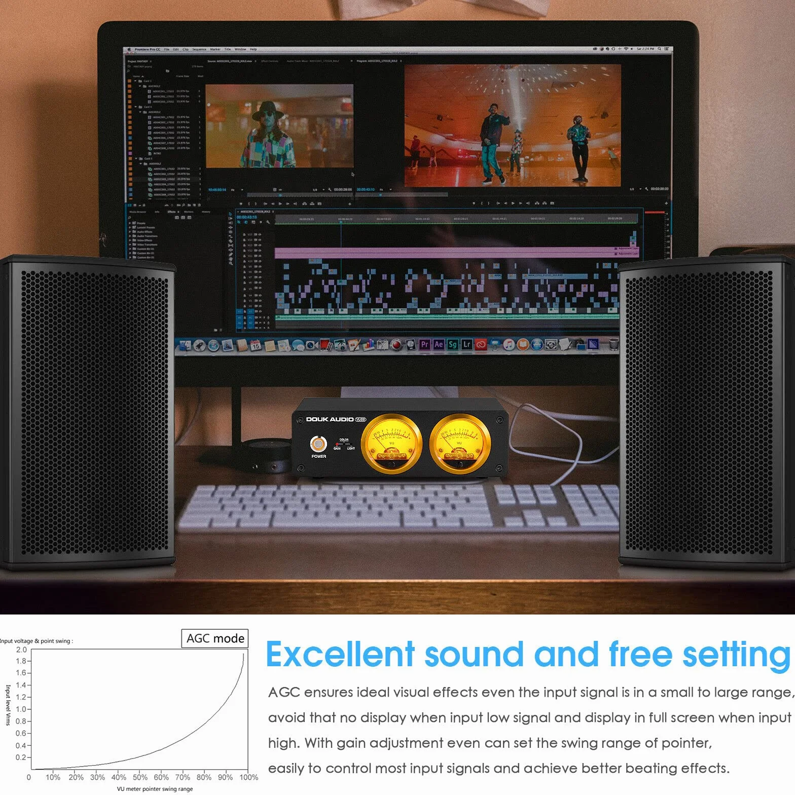 Douk Audio VU22 podwójny analogowy wyświetlacz VU Miernik DB panel spektrum muzyki MIC i LINE wskaźnik poziomu dźwięku (Czarny)