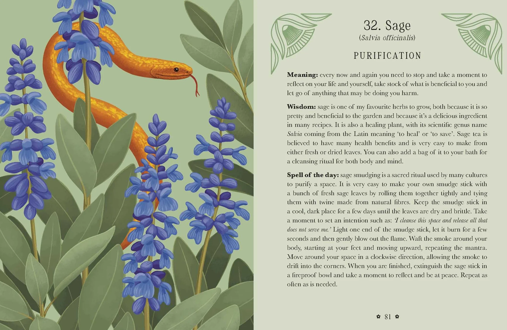 Kate Forsyth's Hedgewitch Oracle