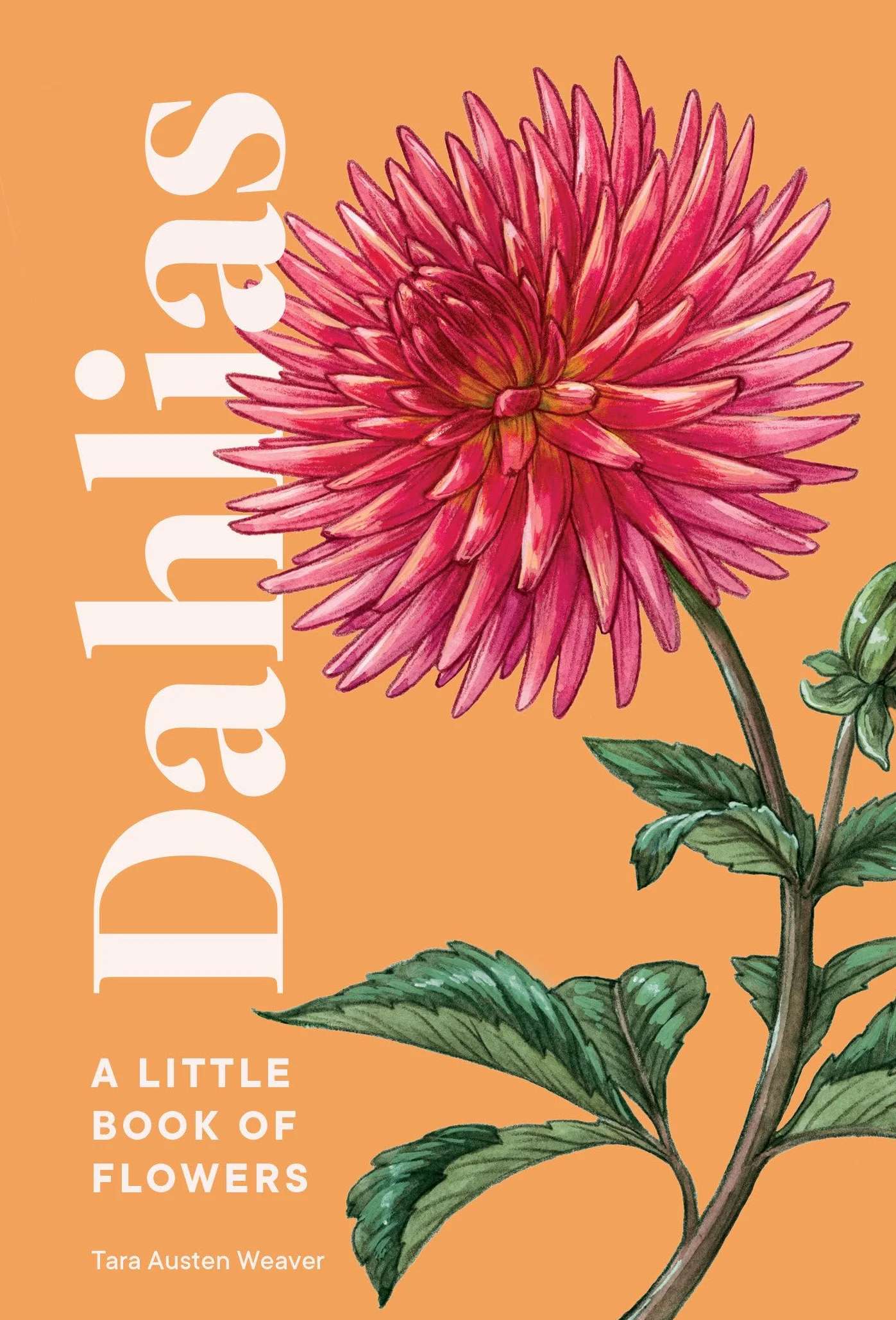 Dahlias: A Little Book of Flowers
