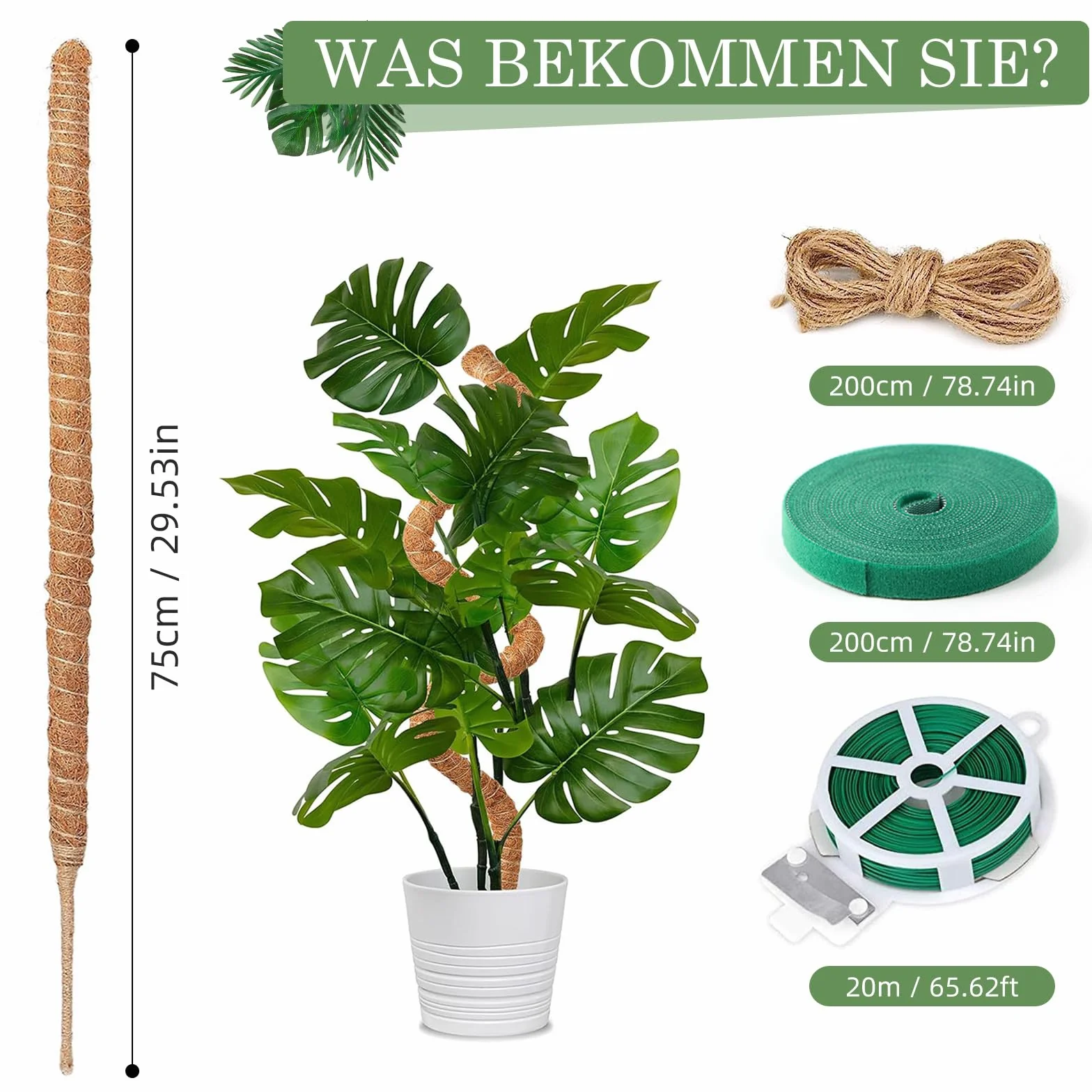 Podpórka do roślin pnących Monstera 75 cm, 2 sztuki prętów, wsparcie dla roślina pokojowych