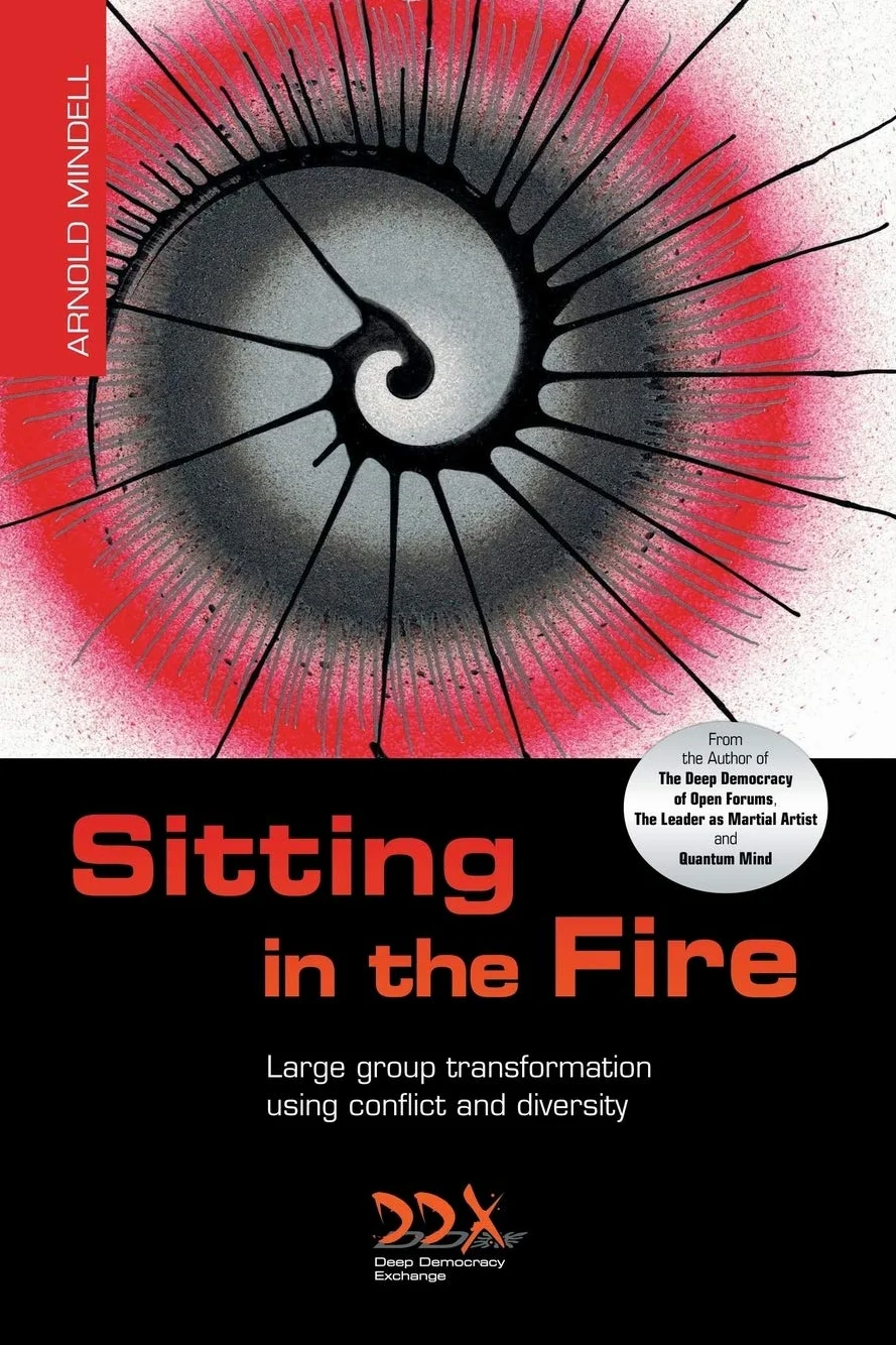 Sitting in the Fire: Large Group Transformation Using Conflict and Diversity