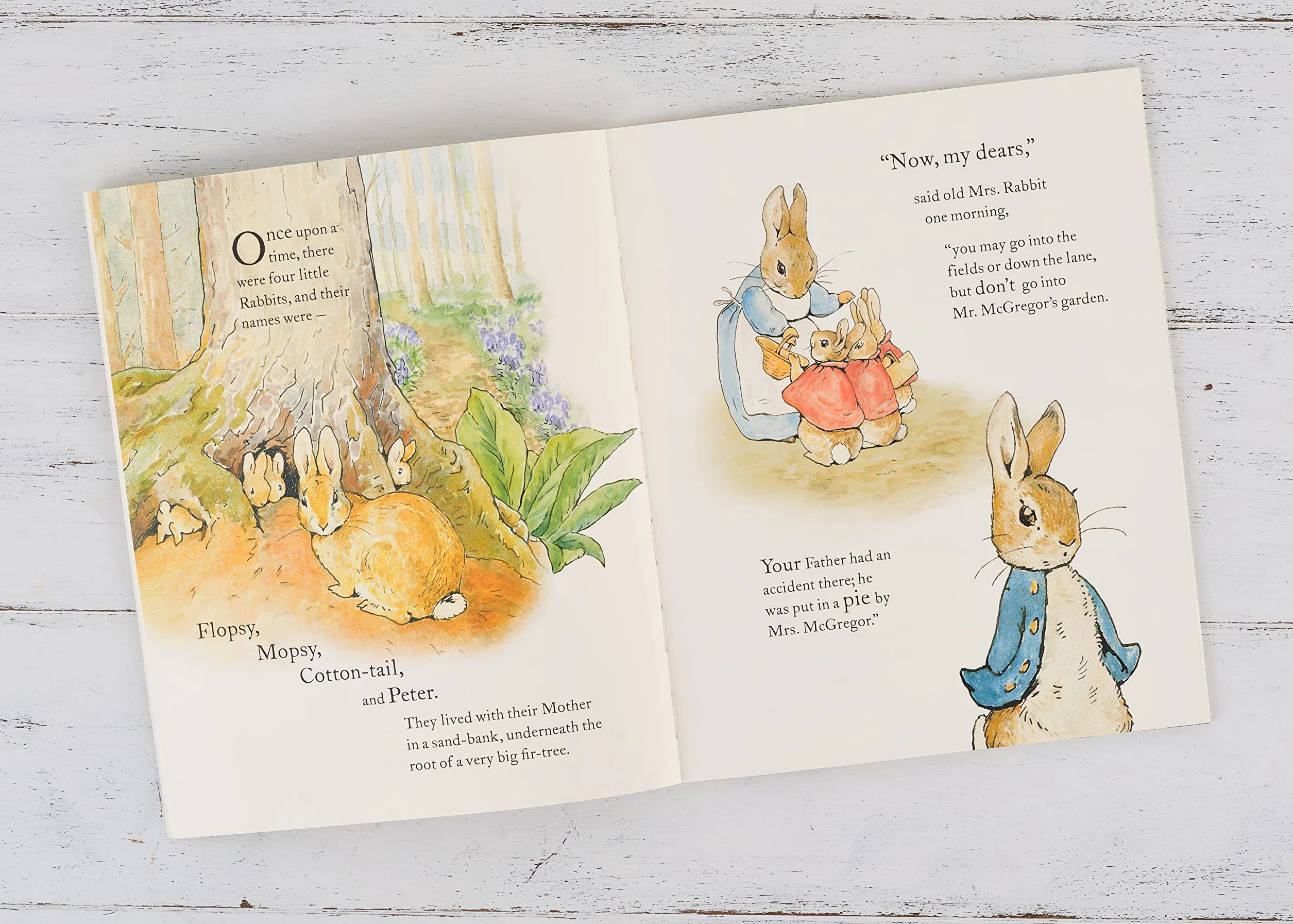 The Tale of Peter Rabbit Picture Book