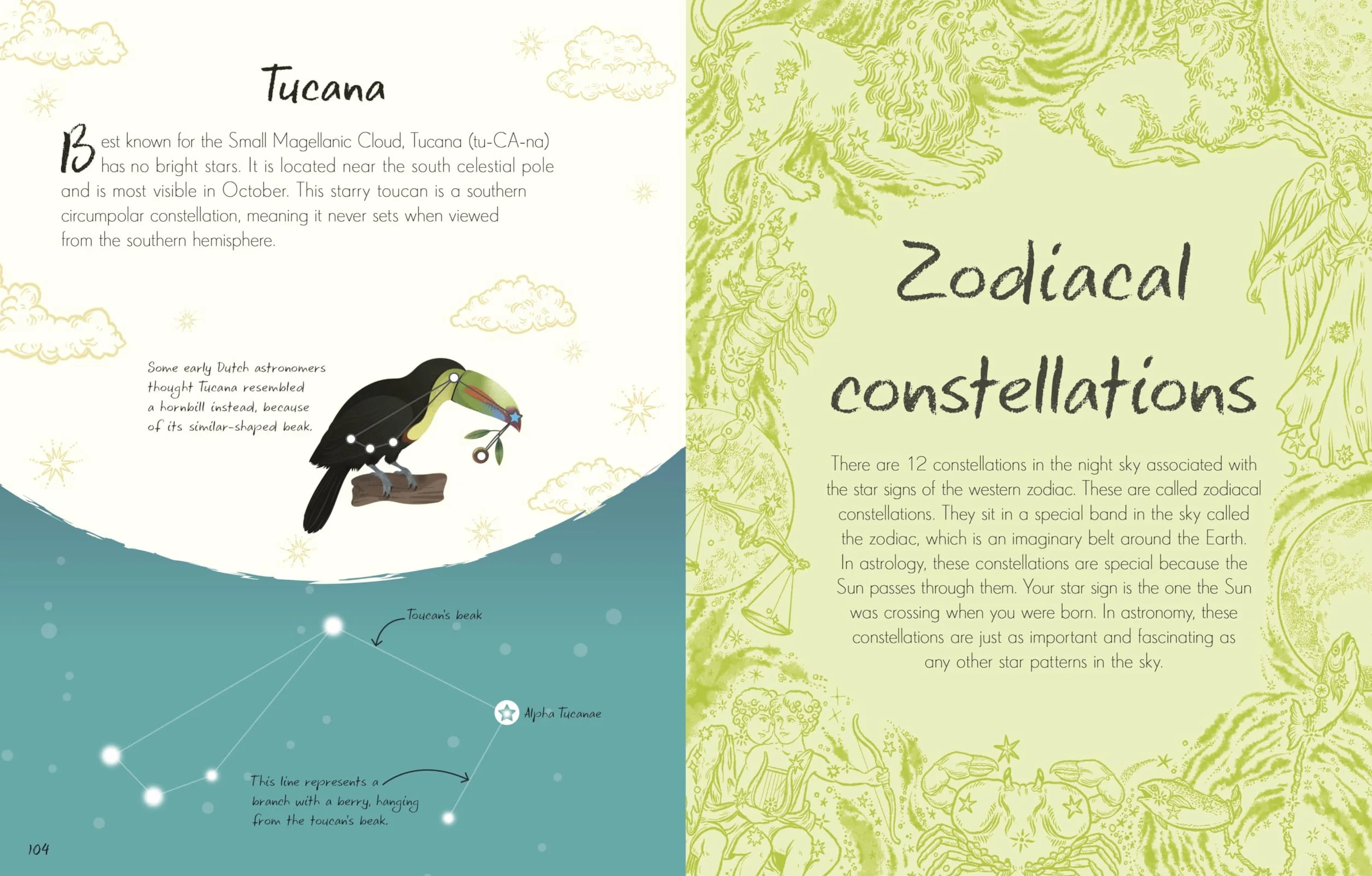 An Anthology of Stargazing: A Collection of Stars and Constellations
