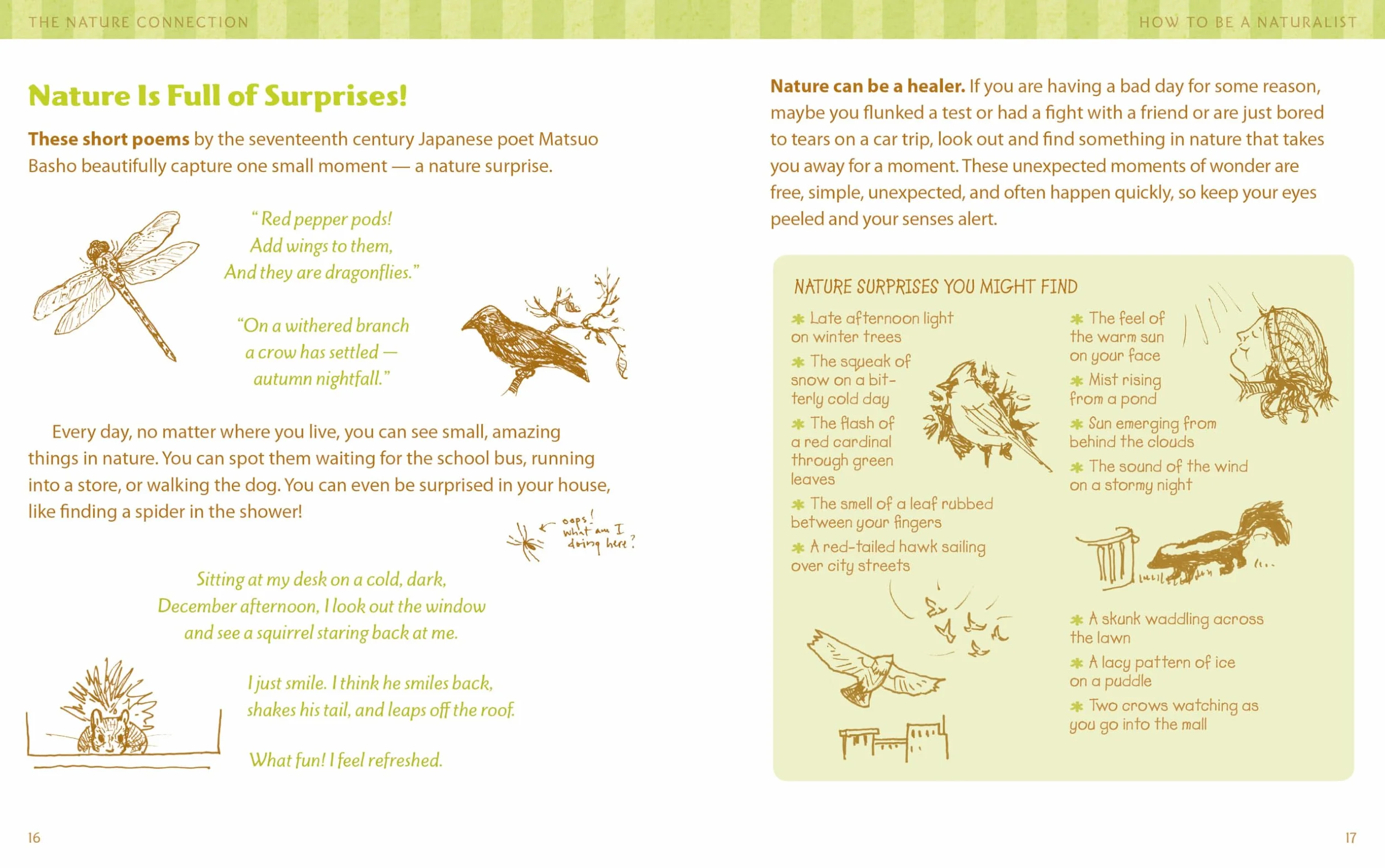 The Nature Connection: An Outdoor Workbook for Kids, Families, and Classrooms