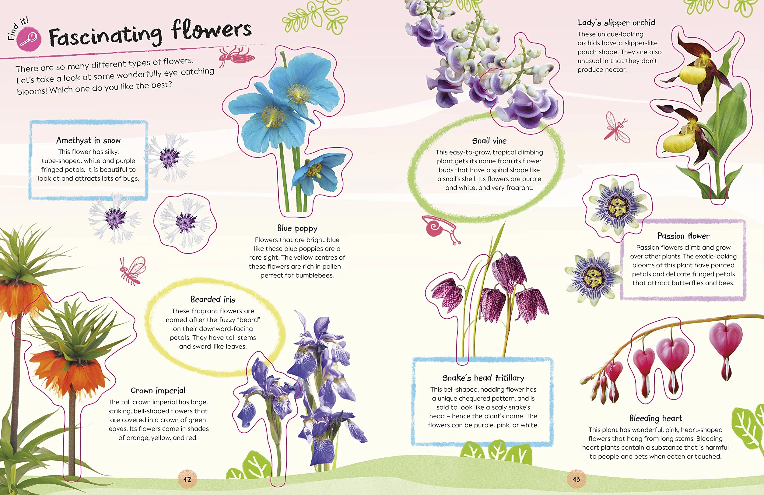 RHS Ultimate Sticker Book Garden Flowers: New Edition with More than 250 Stickers