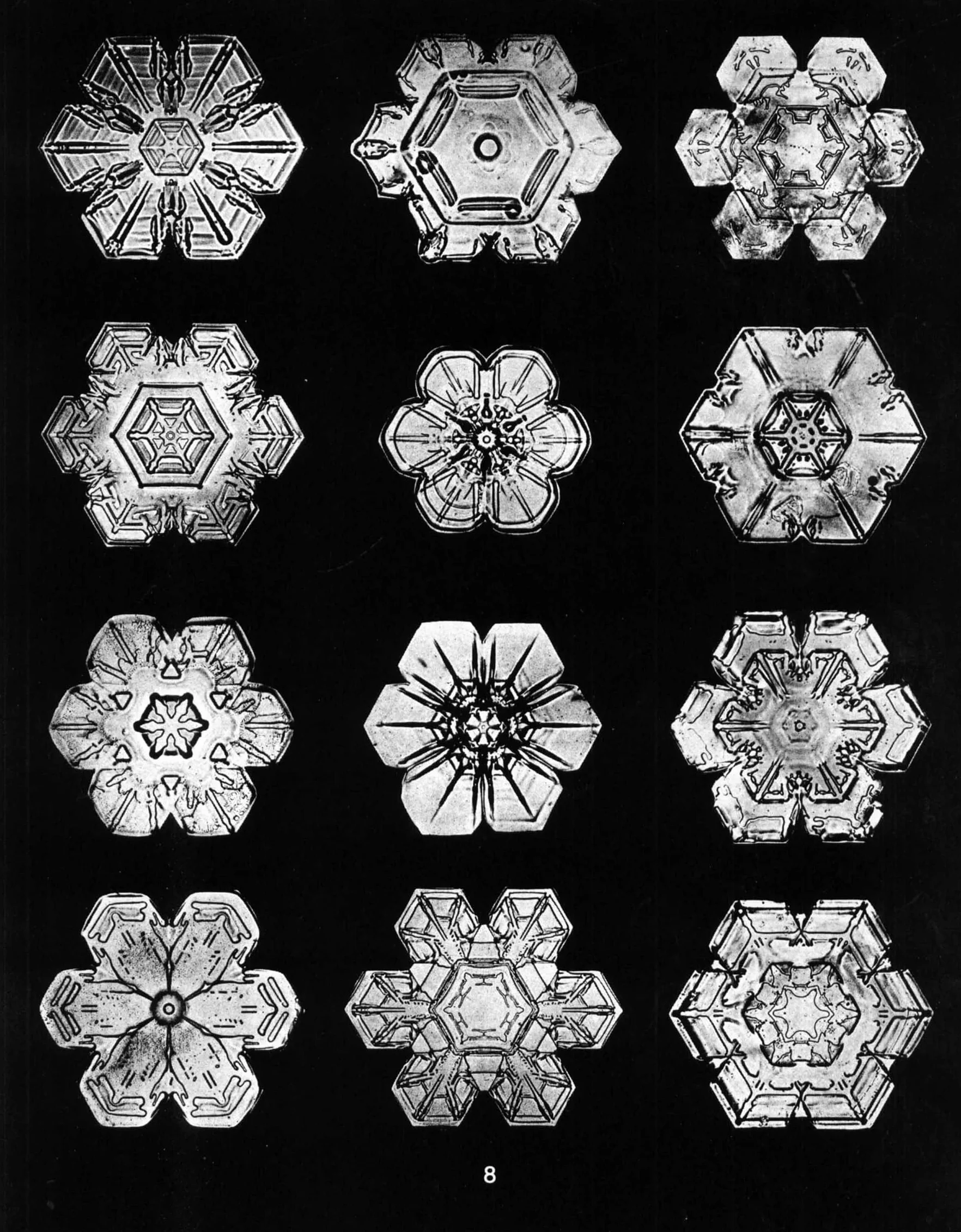 Snowflakes in Photographs