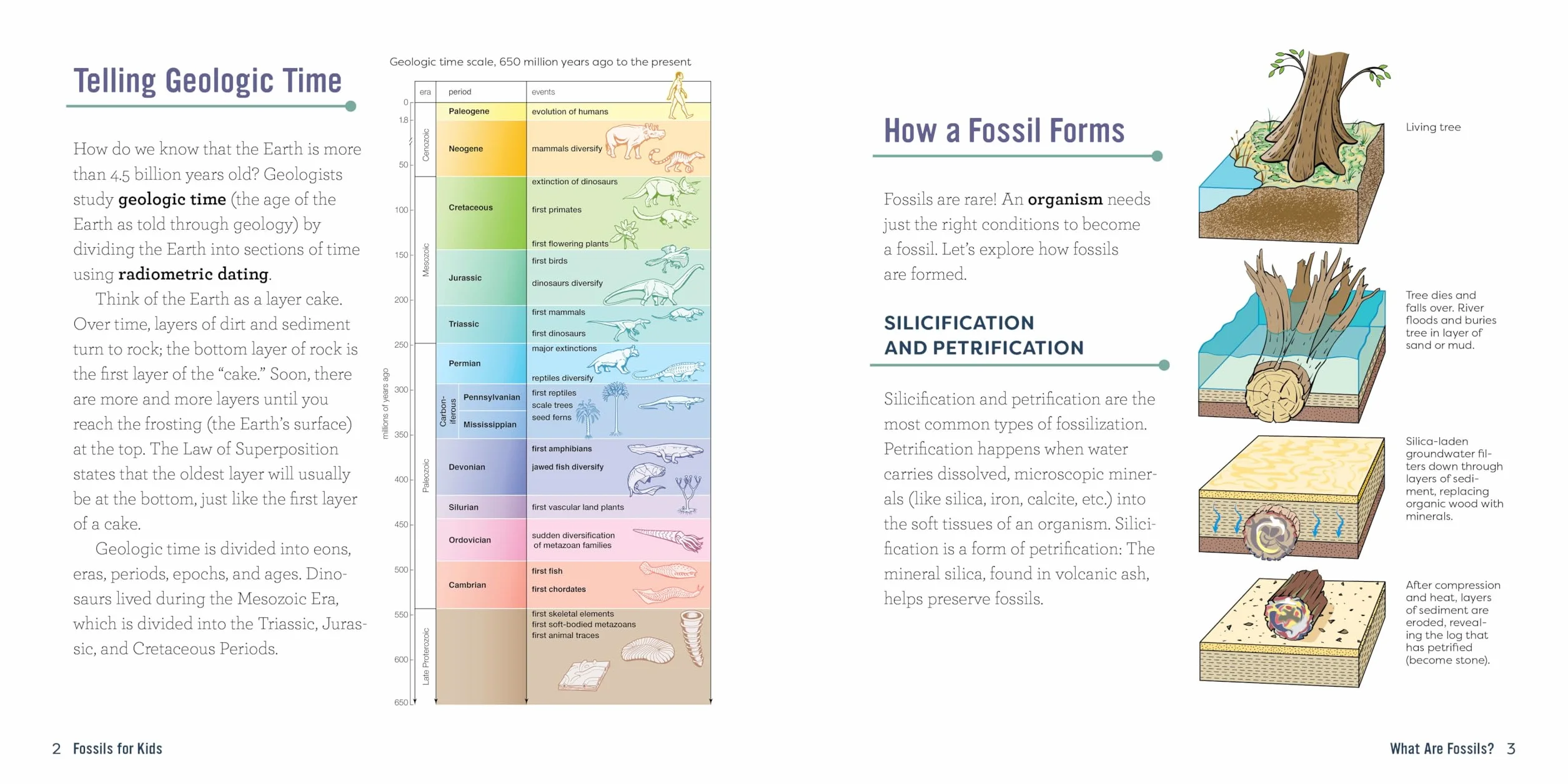 Fossils for Kids: A Junior Scientist's Guide to Dinosaur Bones, Ancient Animals, and Prehistoric Life on Earth
