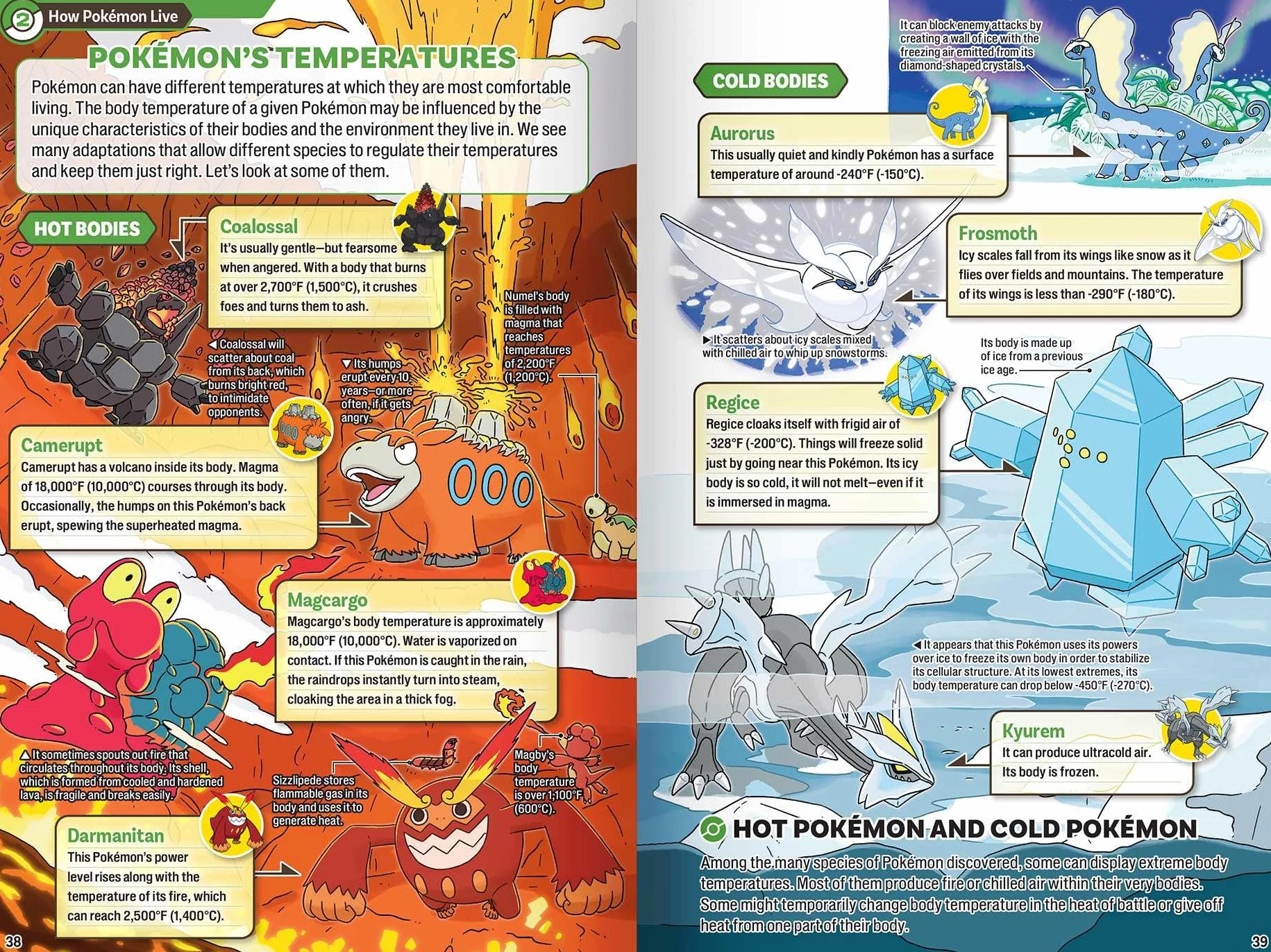 Pokécology An Illustrated Guide to Pokémon Ecology