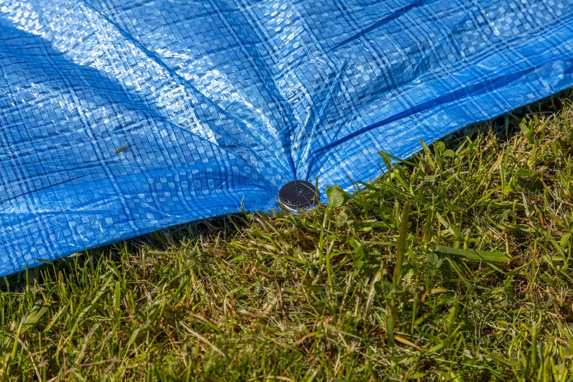 Gardenix Paczka 100 TerraPeg Mini kotwice naziemne Kołki naziemne do Garden Fleece Weed Control Mole Net Plandeka