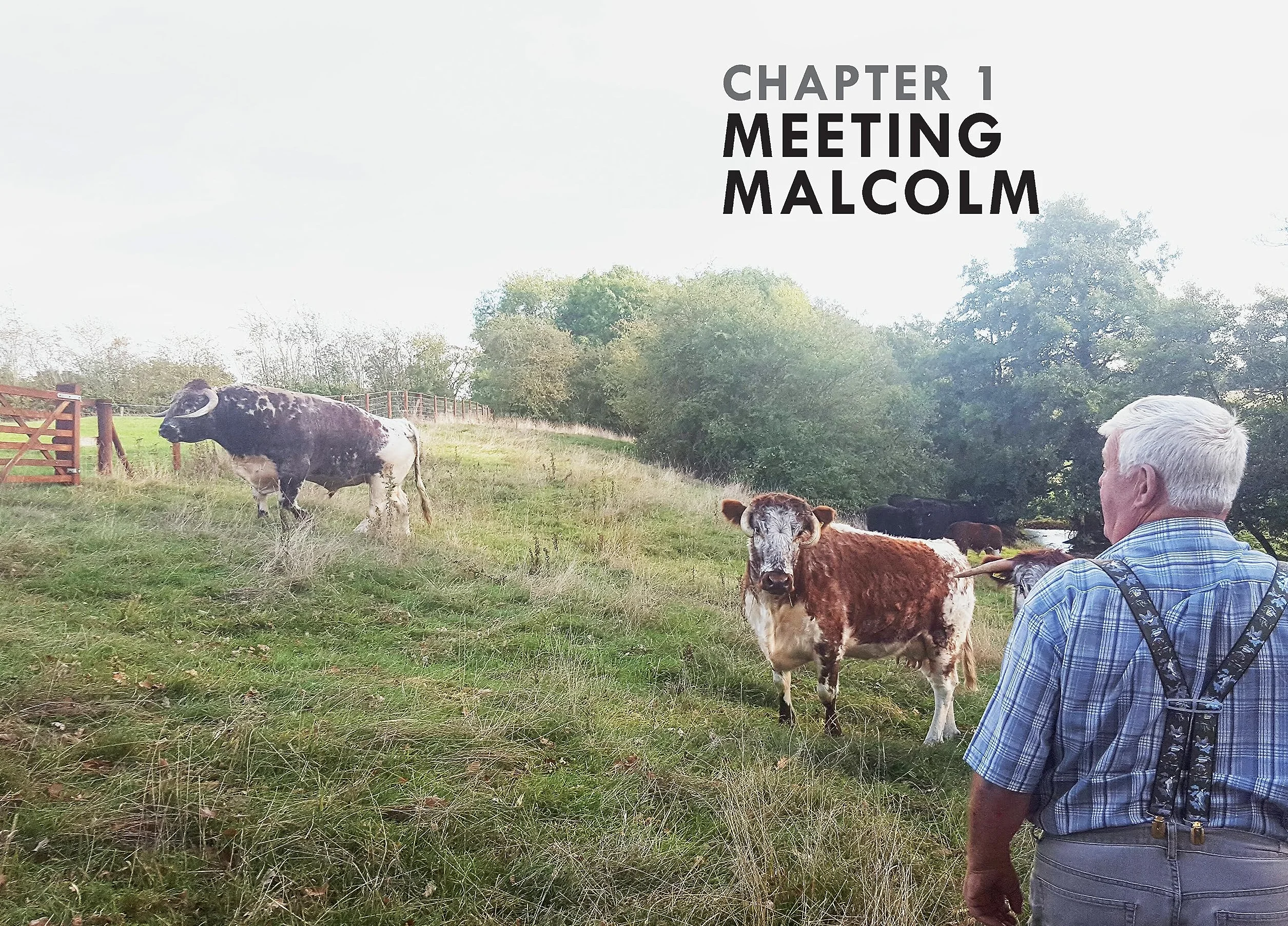 Field, Fork, Fashion: Bullock 374 and a Designer's Journey to Find a Future for Leather