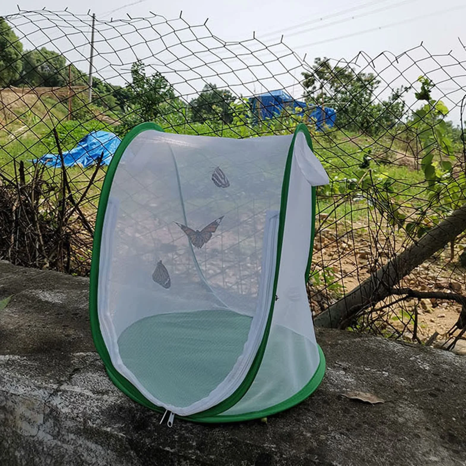 Siedlisko Motyla, Przezroczysta Klatka dla Owadów Monarch Butterfly Składana Obudowa Motylkowa z Przenośnym Uchwytem do Użytku w Pomieszczeniach na Zewnątrz, 13,2 X 13 X 14,4 Cala