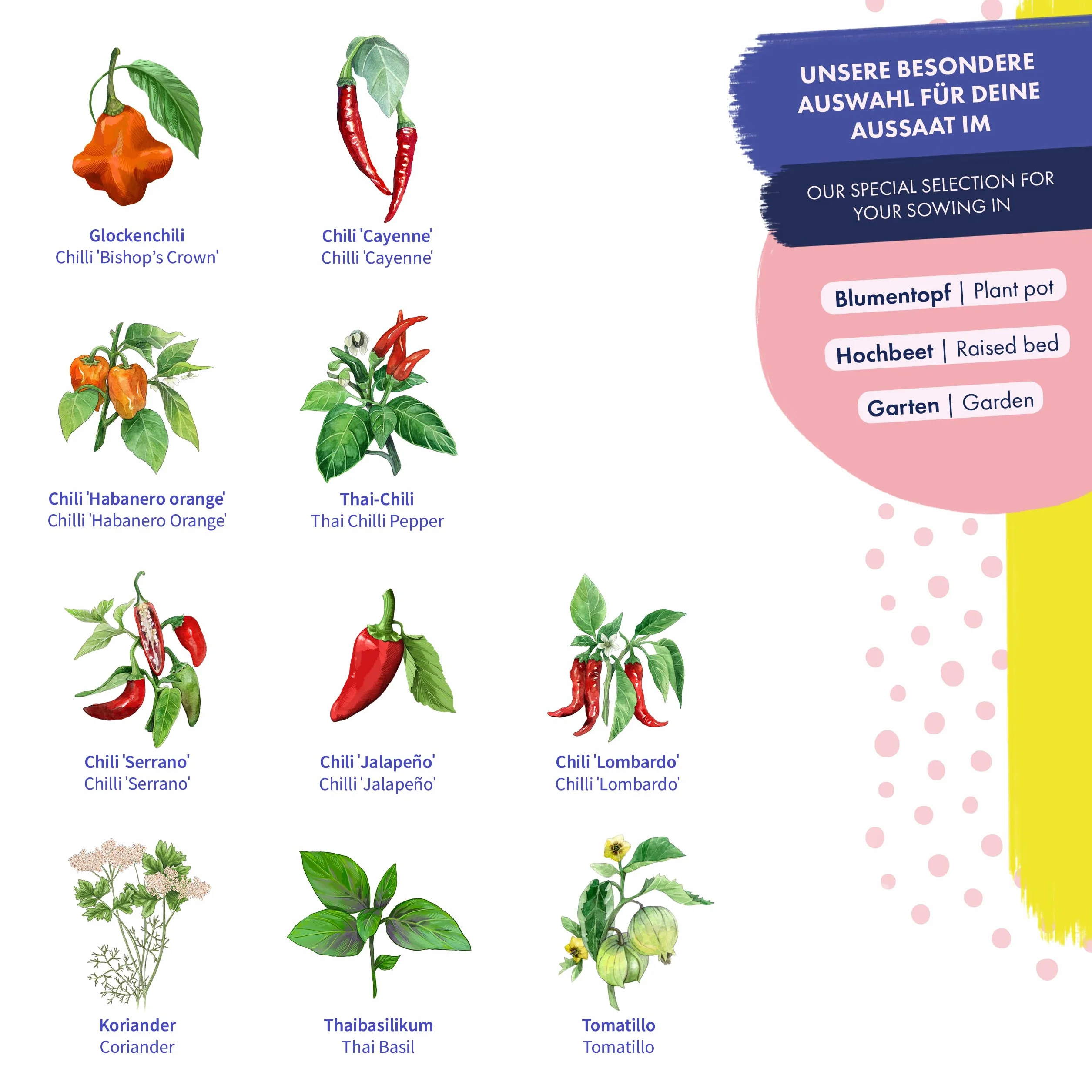 Chilis & Friends - 10 odpornych na nasiona odmian chili i ziół - egzotyczne i pikantne - zestaw nasion na mały prezent lub do użytku osobistego