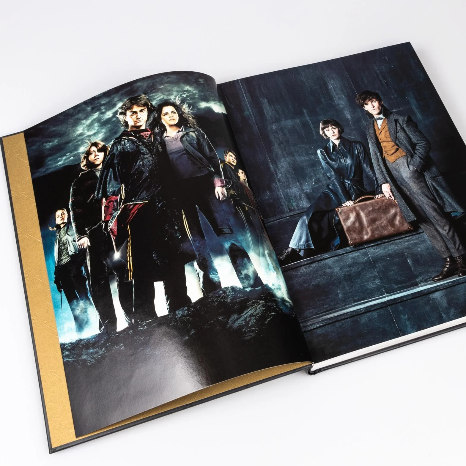 Aus den Filmen von Harry Potter und Phantastische Tierwesen: WHO IS WHO - Die Figuren der Zaubererwelt: Alles über die Figuren aus der Harry Potter Welt