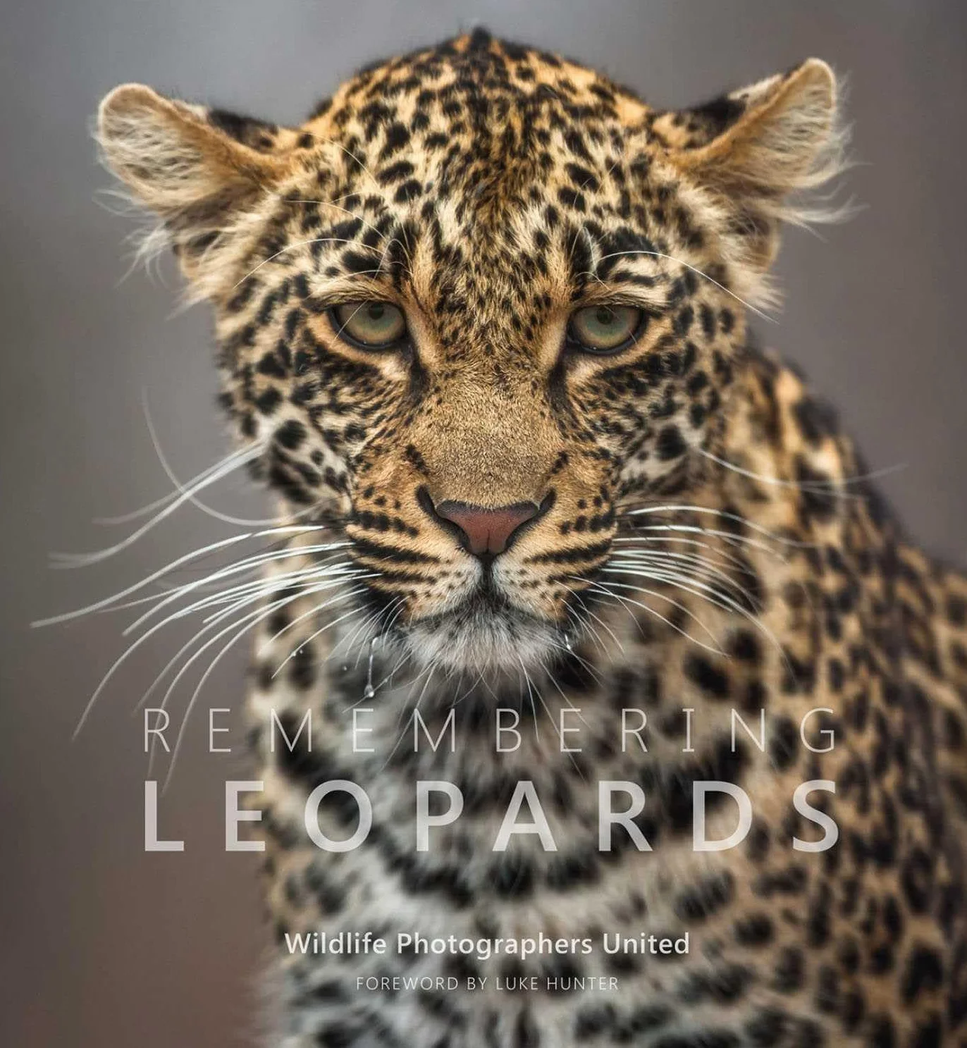 Remembering Leopards: 8