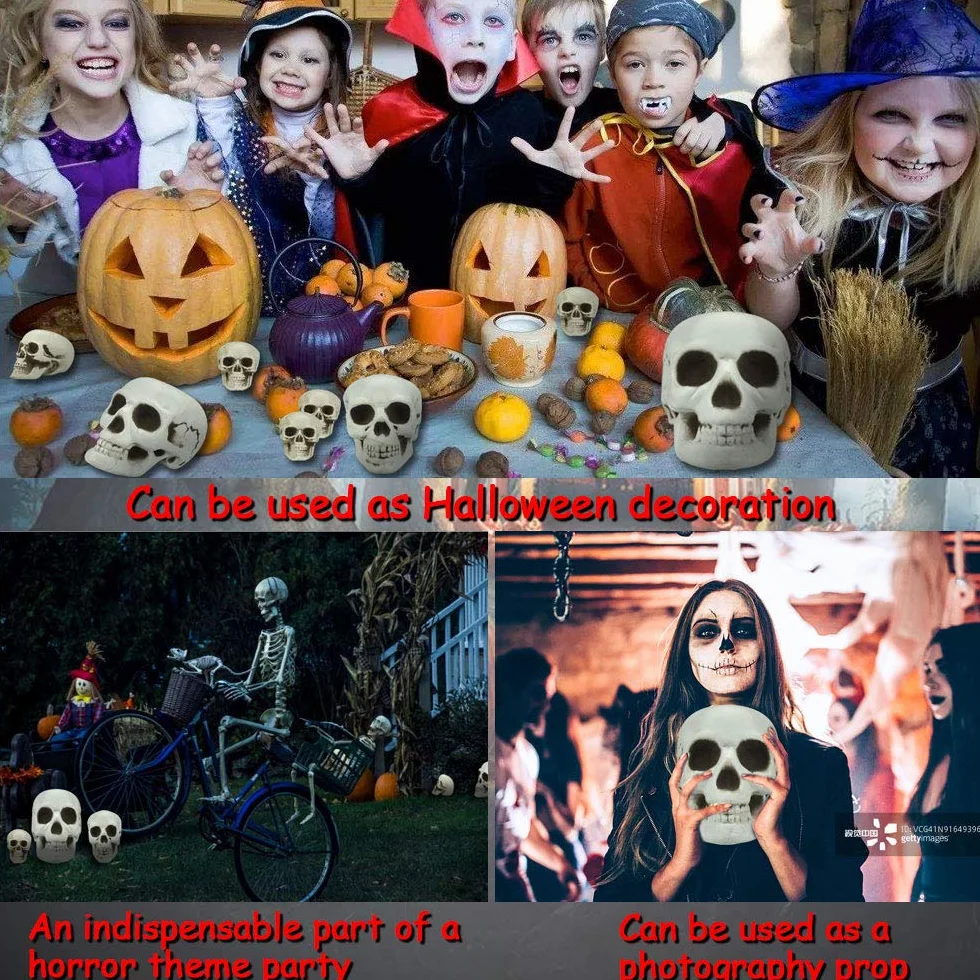LYTIVAGEN 8 sztuk czaszek na Halloween, z tworzywa sztucznego, realistyczny szkielet, czaszka, mała dekoracja, model na Halloween, karnawał, imprezę, 3 rozmiary