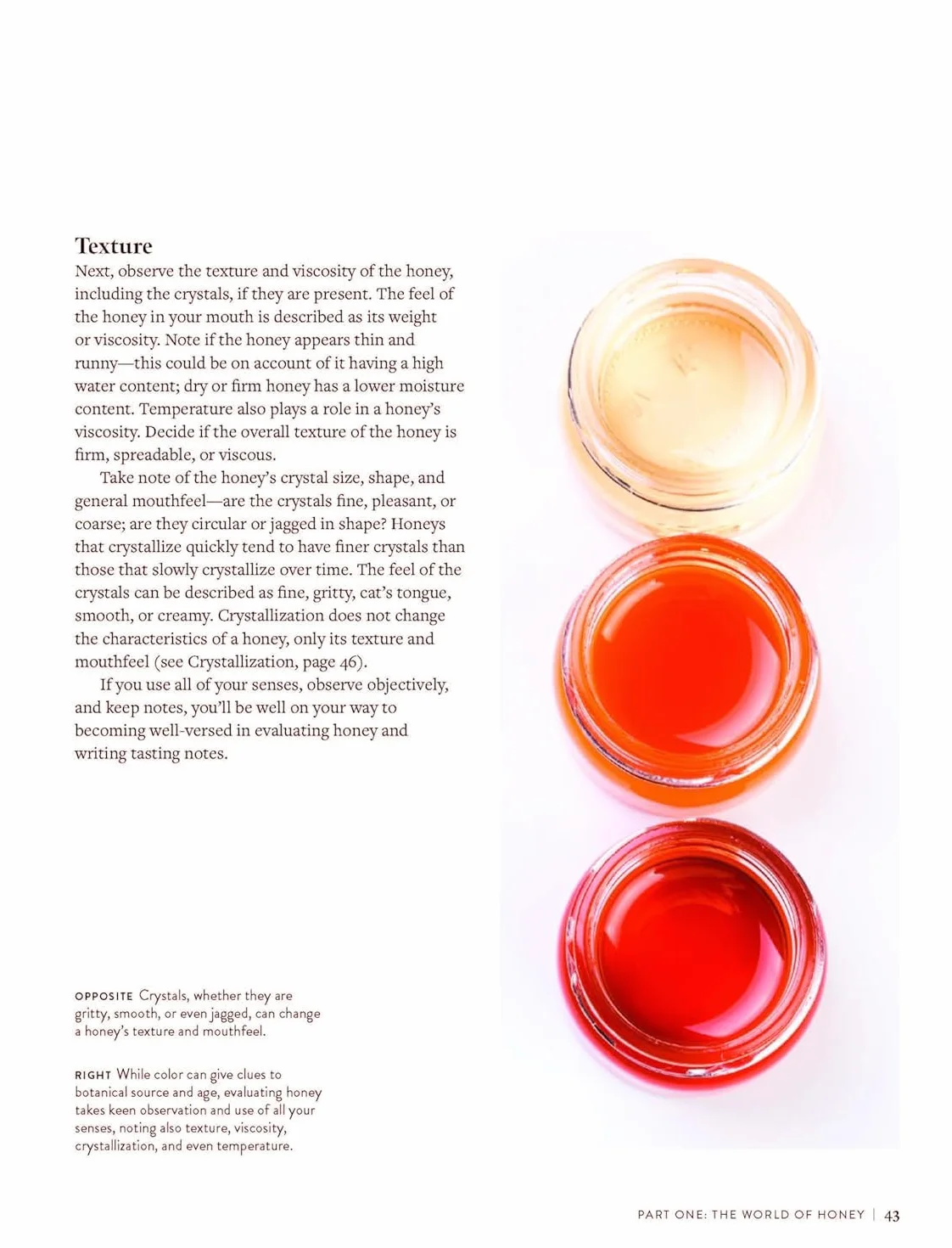 The World Atlas of Honey